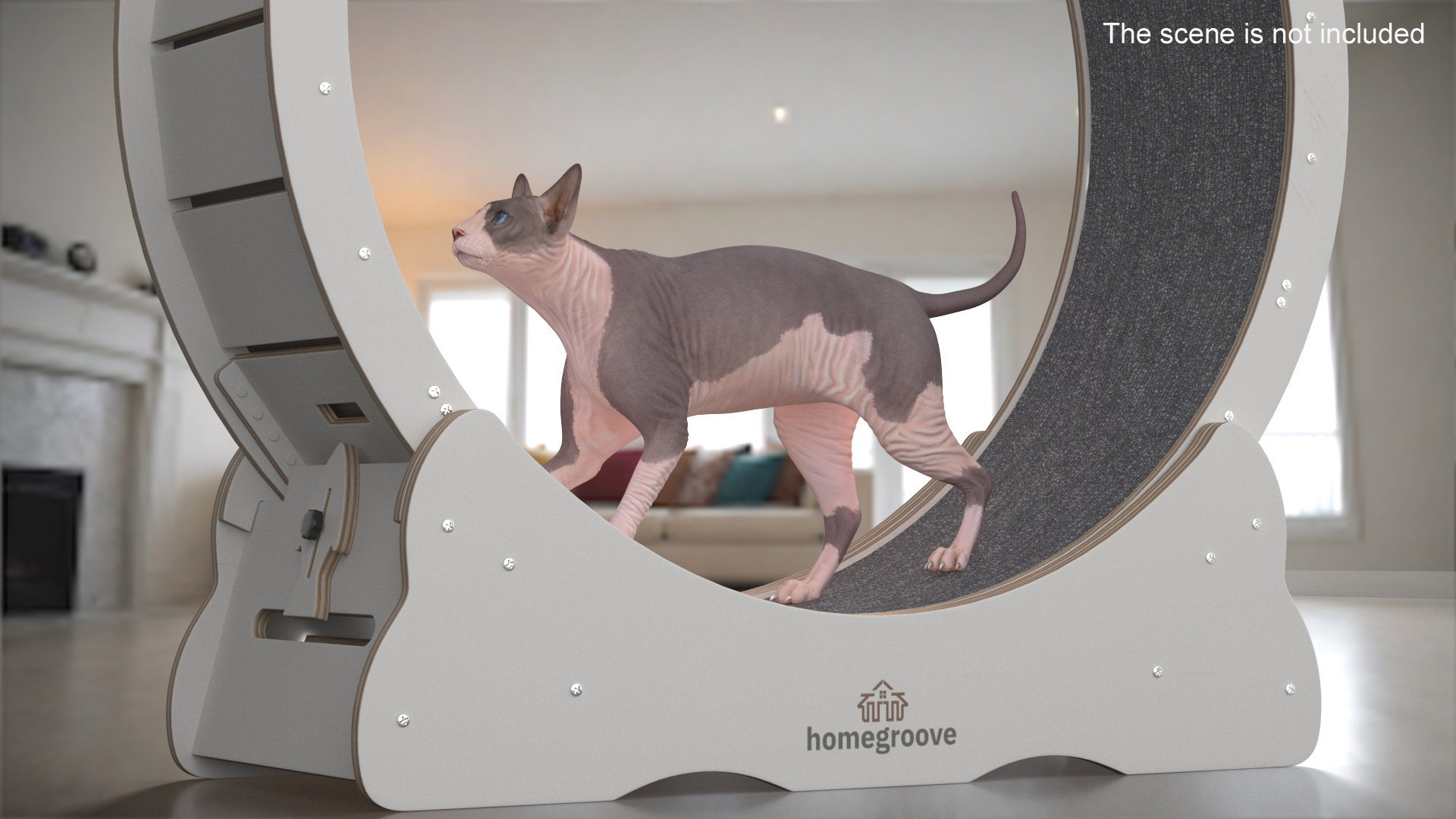 Homegroove Pet Running Wheel White 3D model