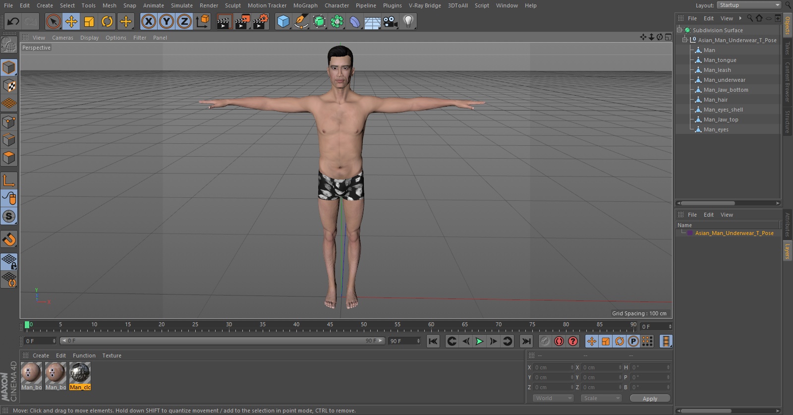 3D Asian Man Underwear T Pose