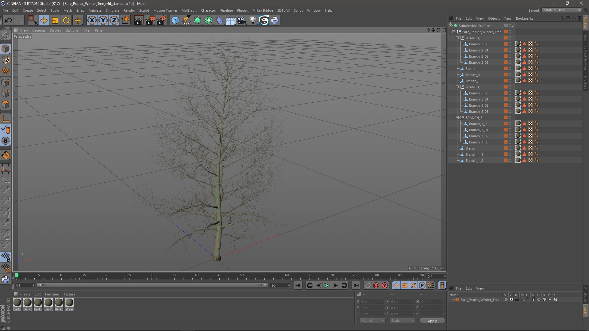 3D Bare Poplar Winter Tree model