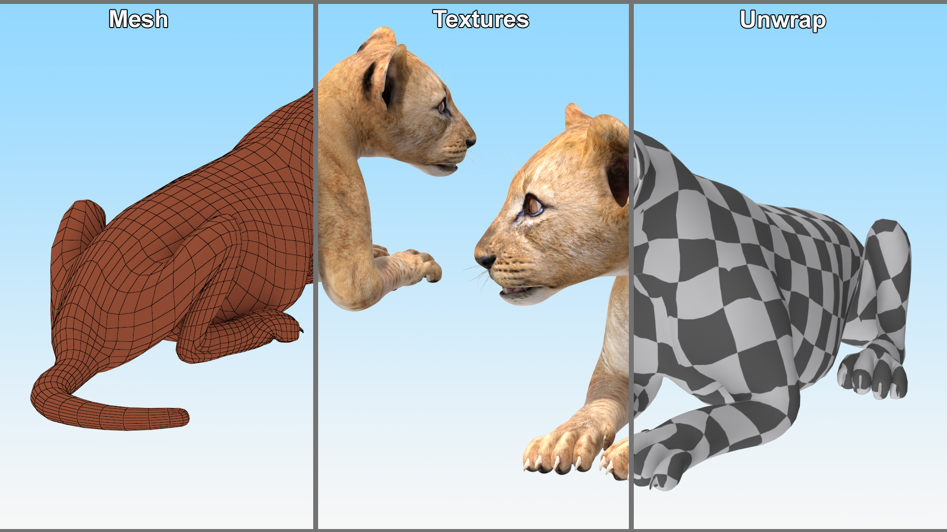 Lion Cub Lying Down 3D model