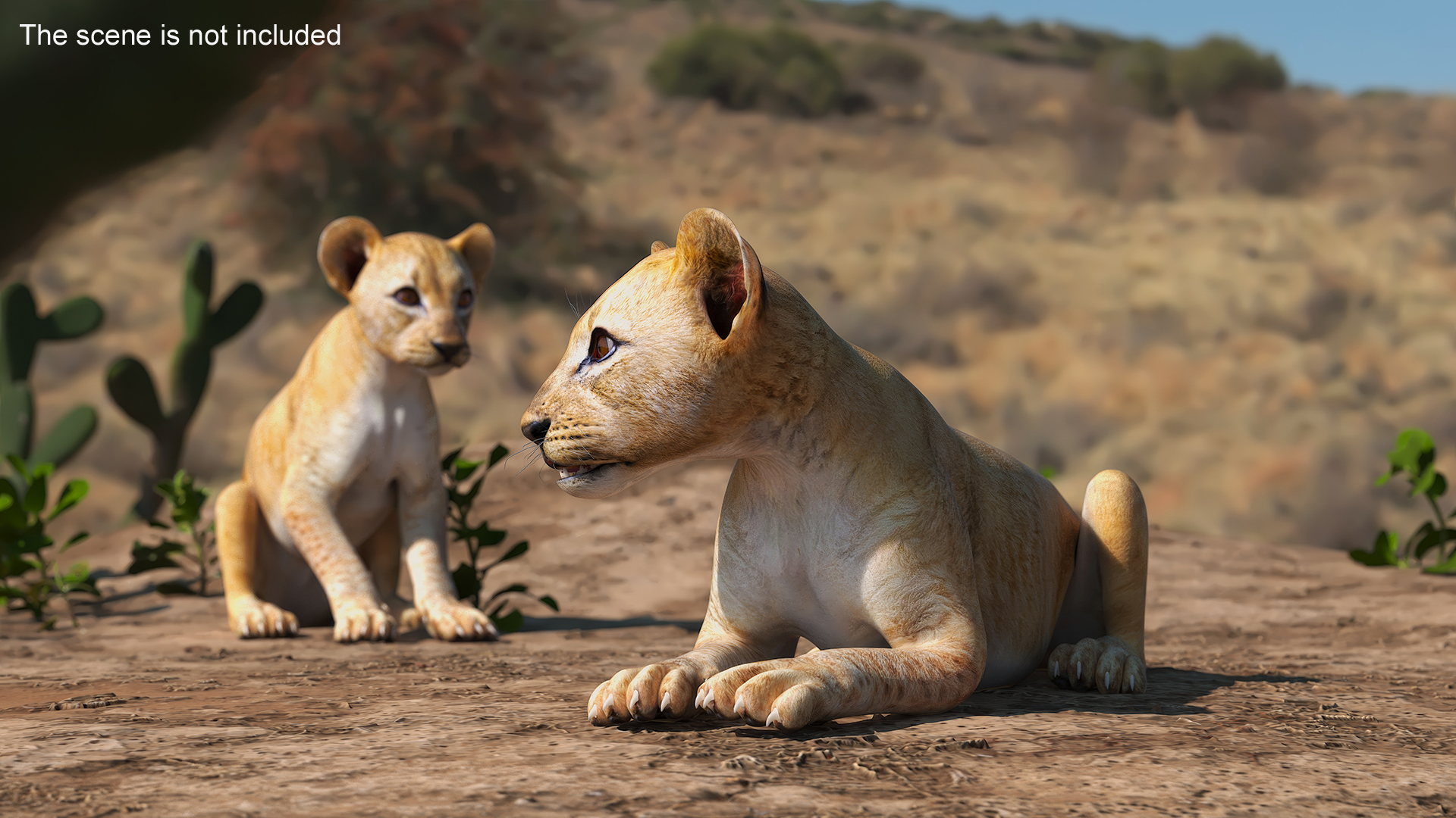 Lion Cub Lying Down 3D model