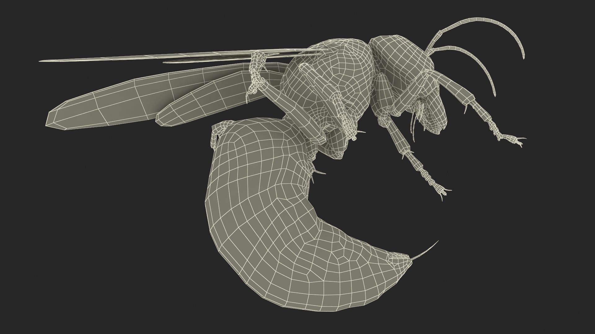 3D Northern Giant Hornet Attack Pose model