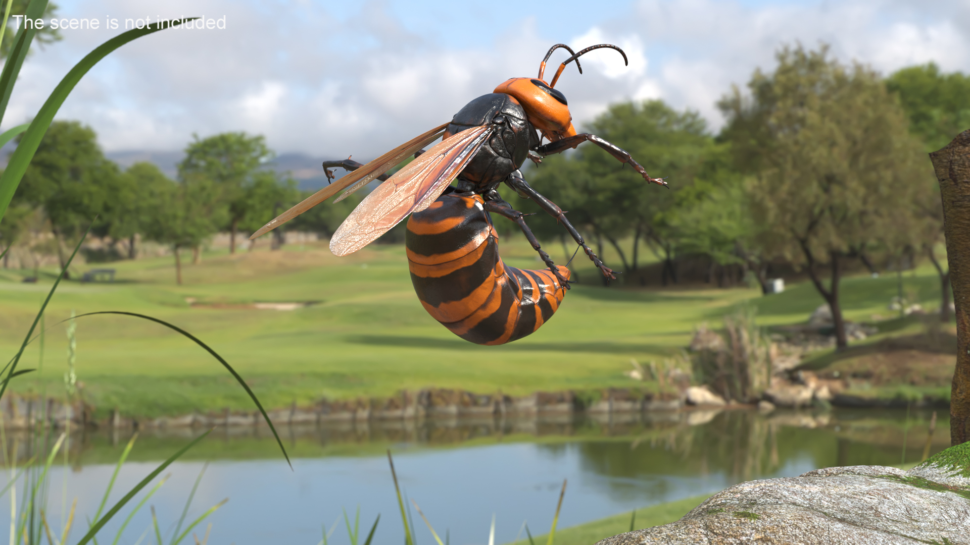 3D Northern Giant Hornet Attack Pose model