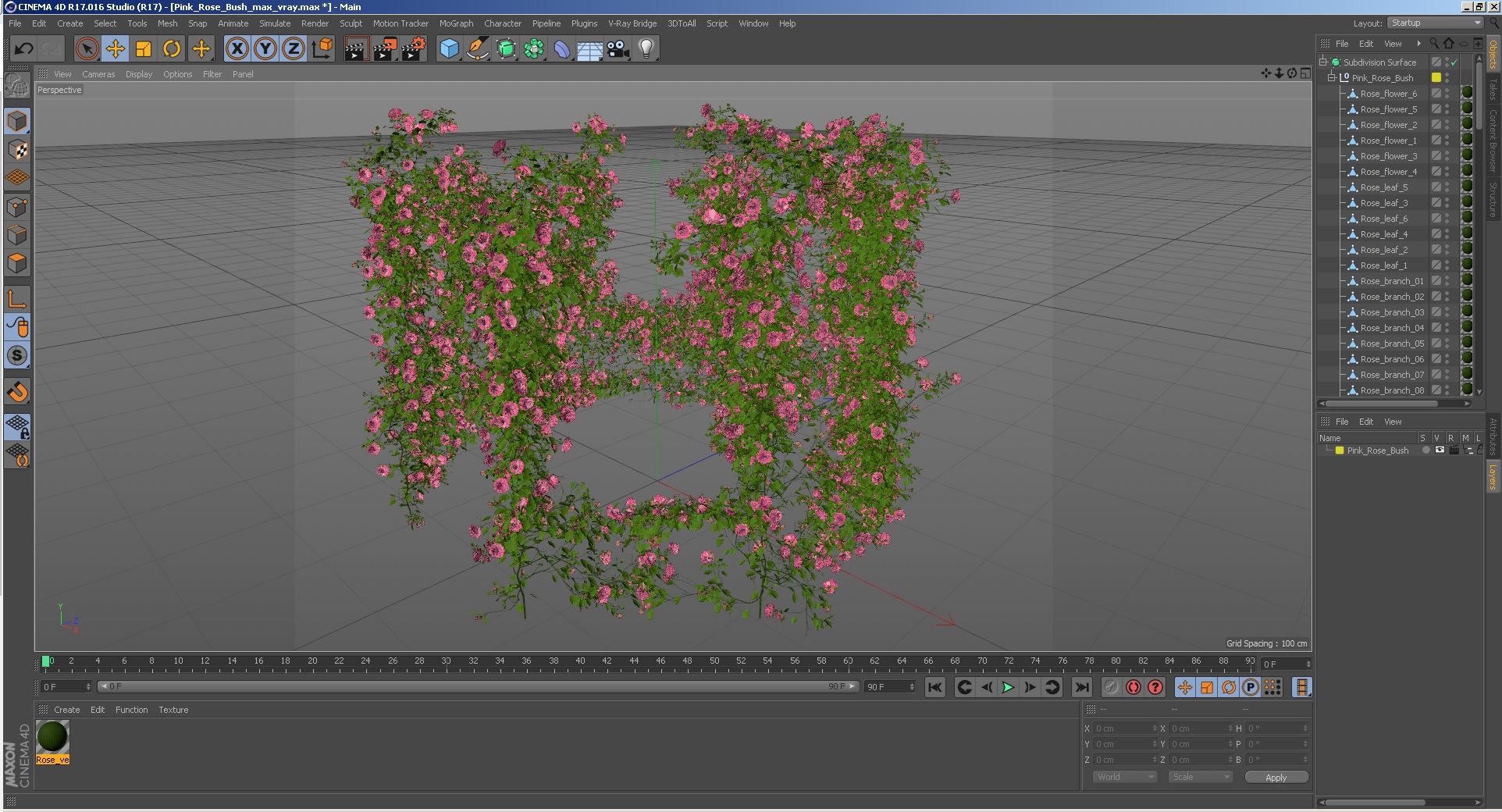 Pink Rose Bush 3D model