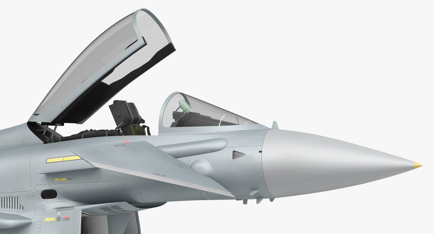 Fighter Eurofighter Typhoon Rigged 3D model