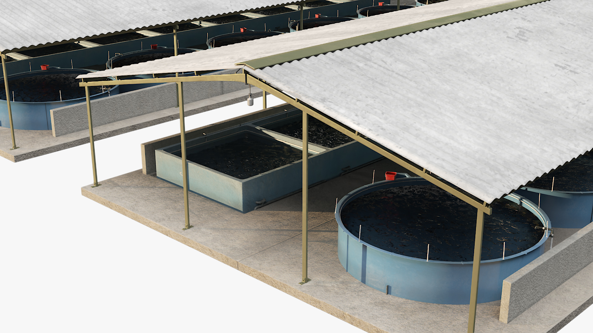 Fish Farm Covered 3D