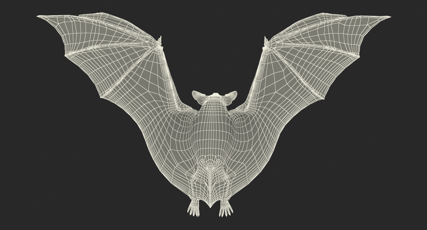 Flying Bat with Fur 3D model