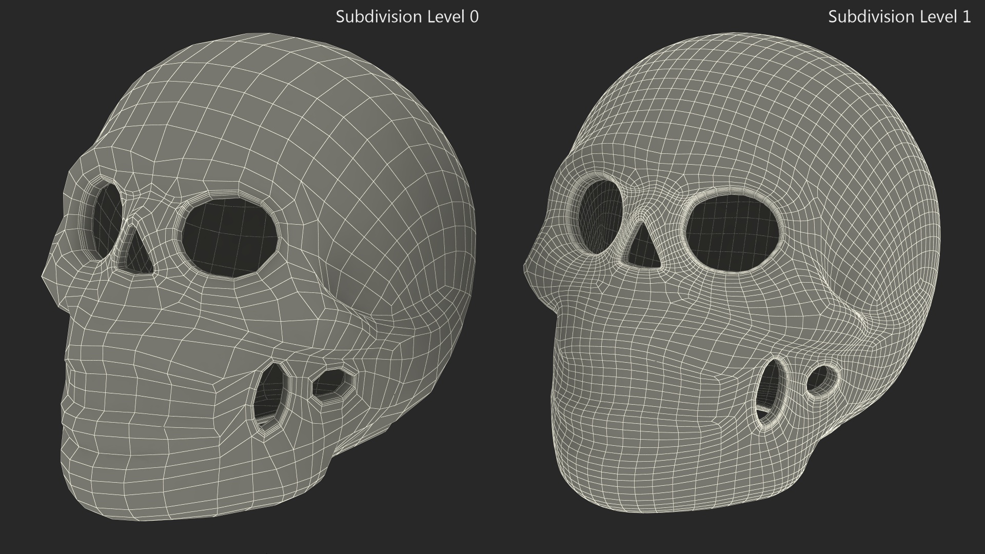 3D Calavera Flor de Vida