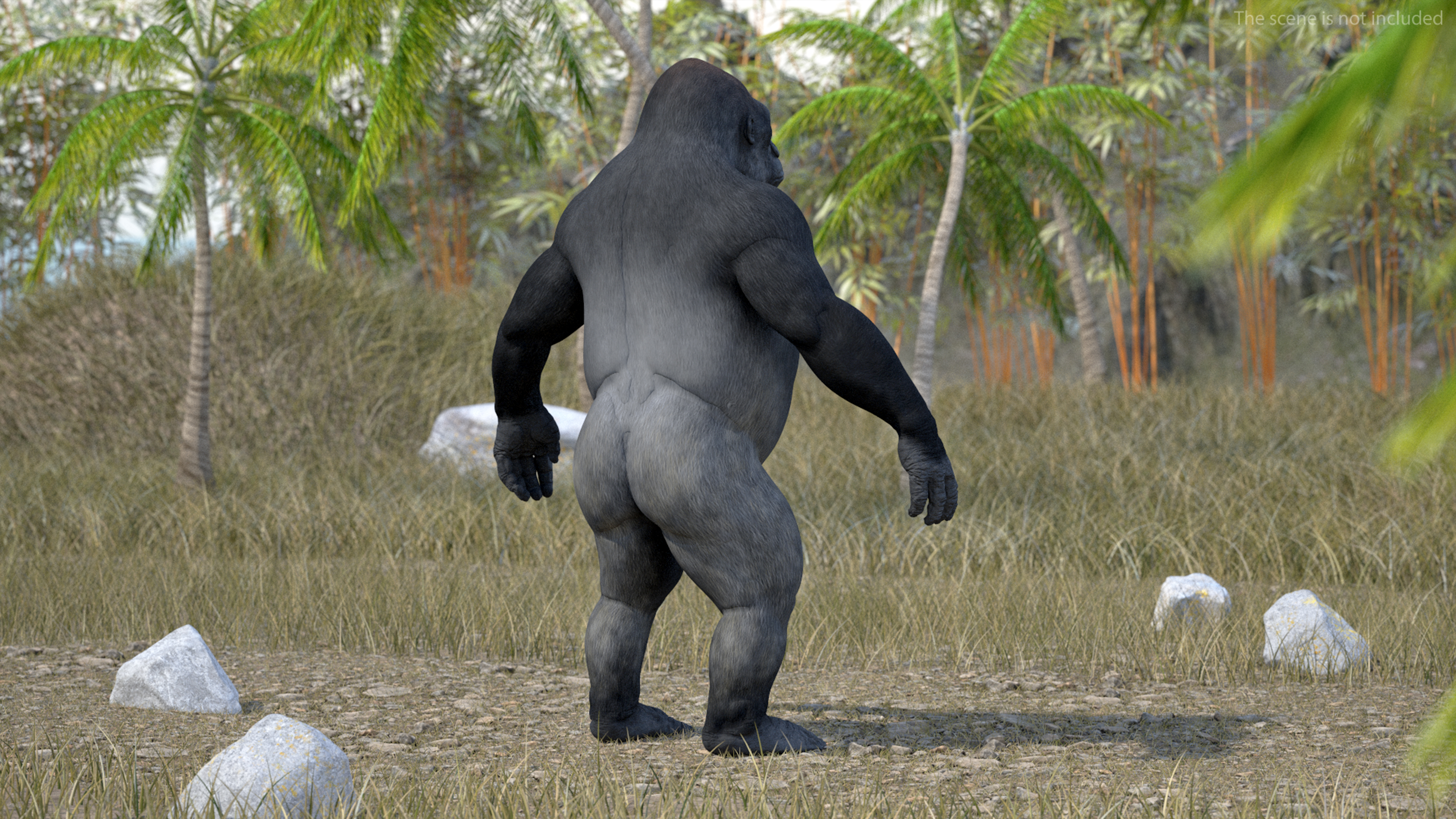 Western Gorilla Rigged 3D