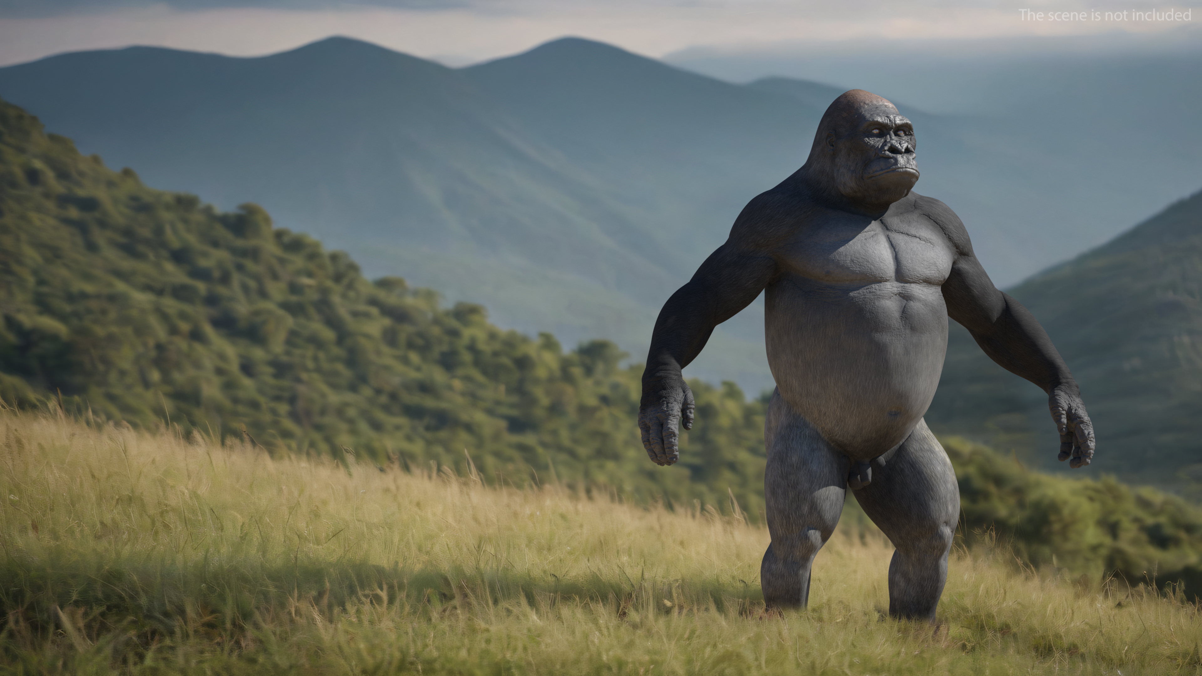 Western Gorilla Rigged 3D