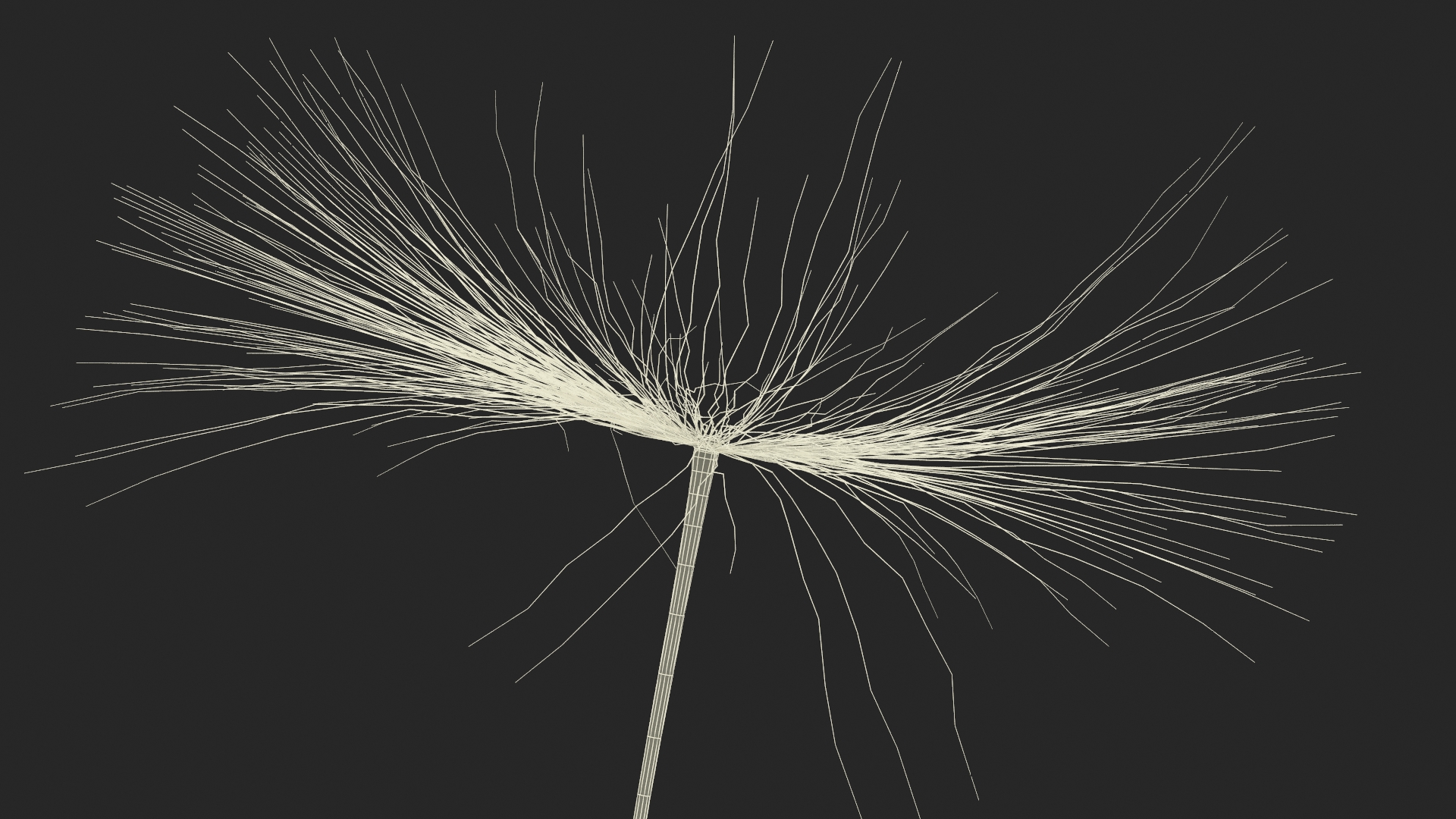 Dandelion Seed 3D model