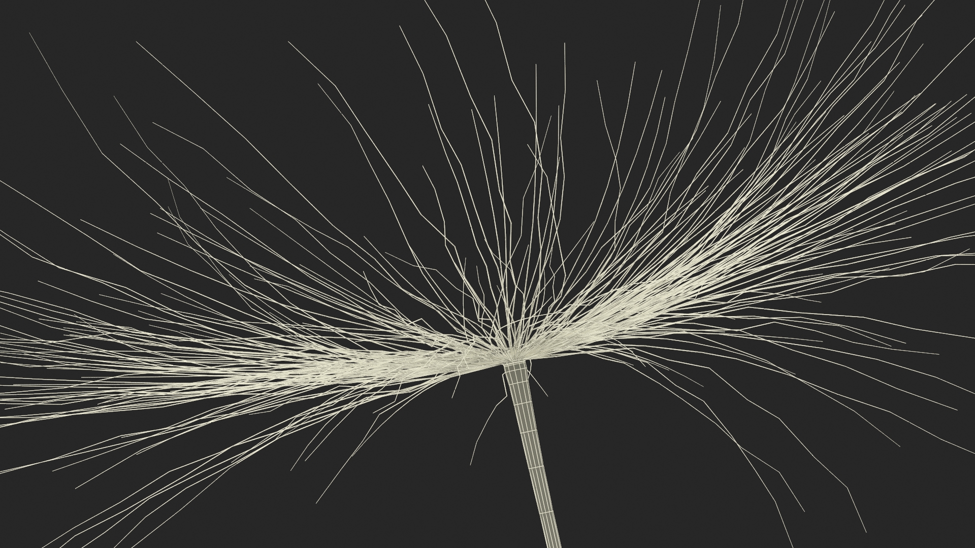 Dandelion Seed 3D model