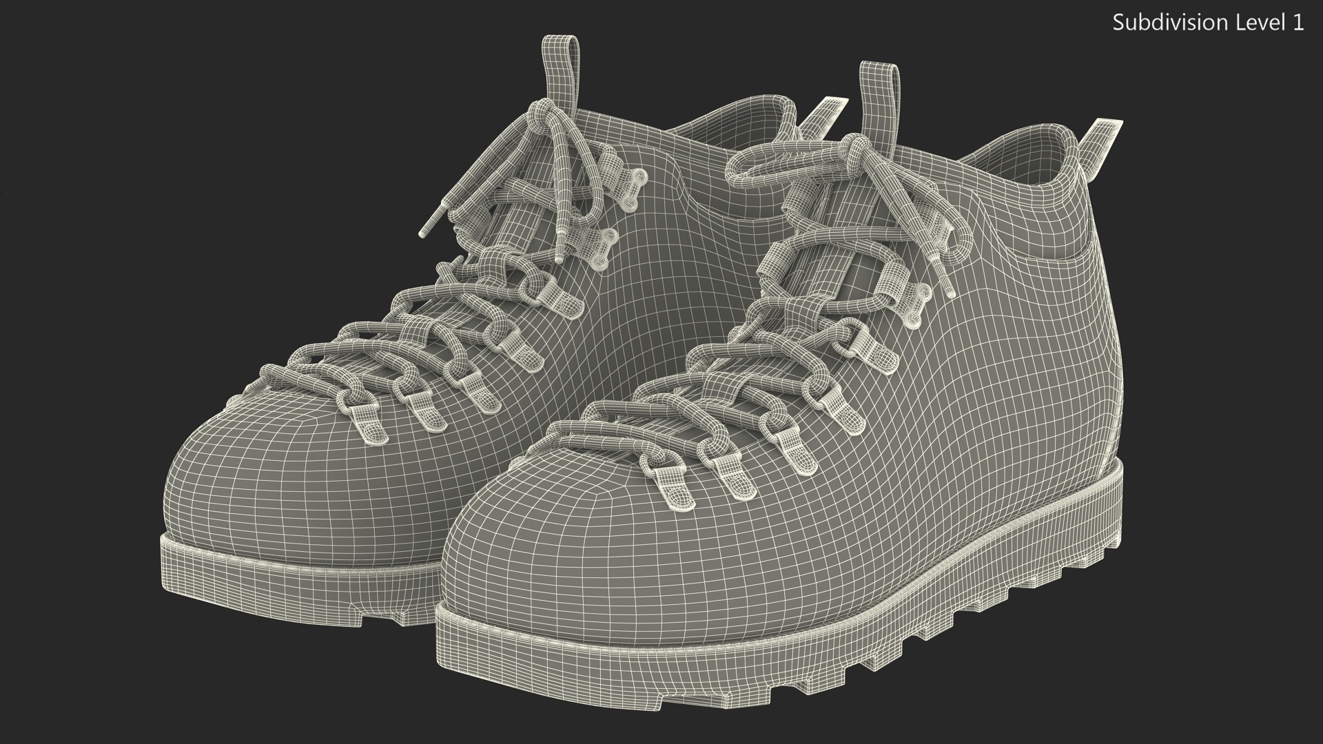 3D Trail Boots