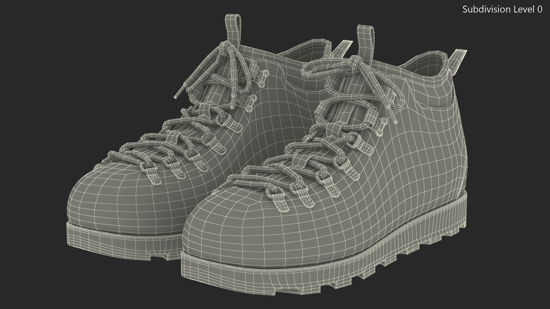 3D Trail Boots