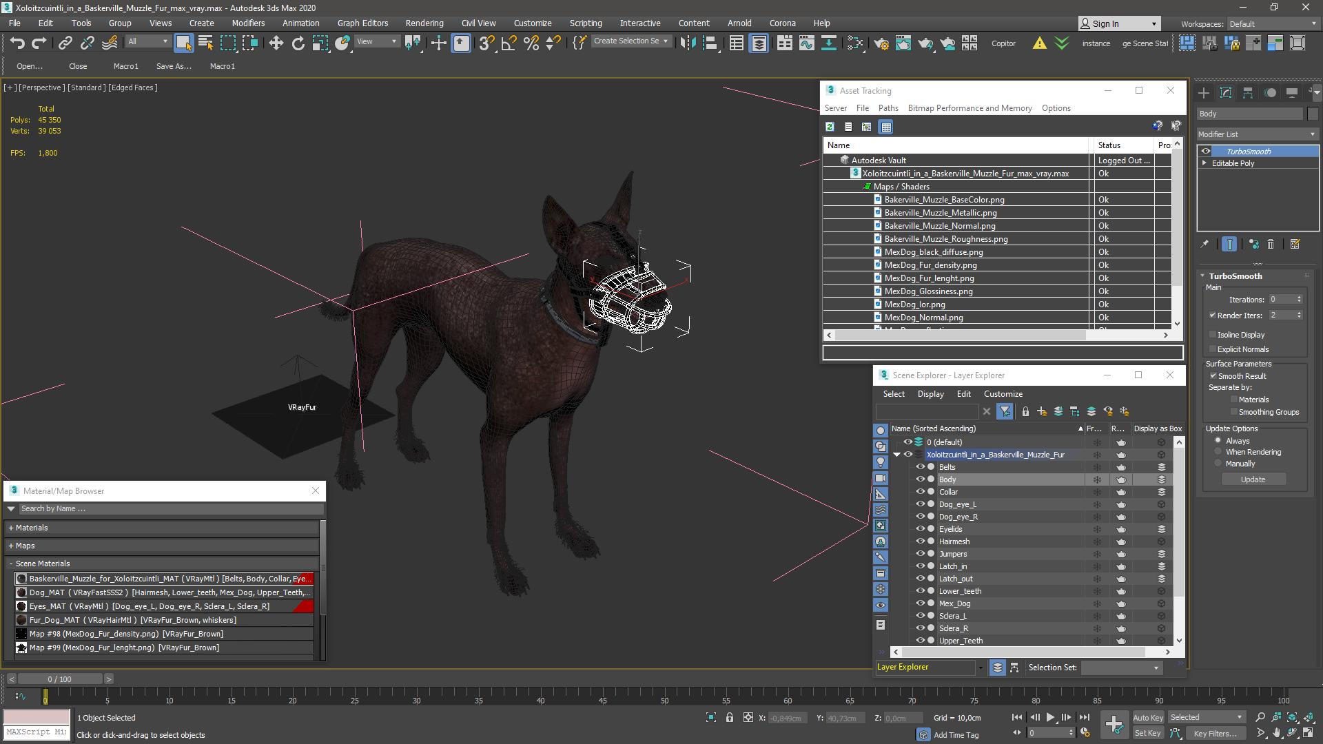 Xoloitzcuintli in a Baskerville Muzzle Fur 3D