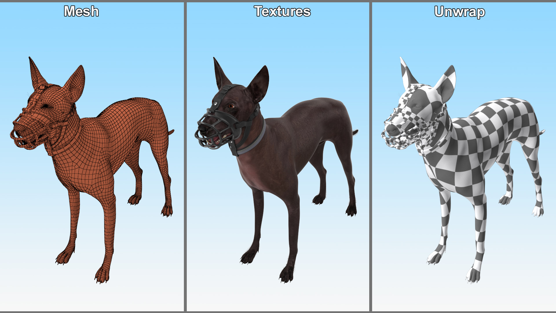 Xoloitzcuintli in a Baskerville Muzzle Fur 3D