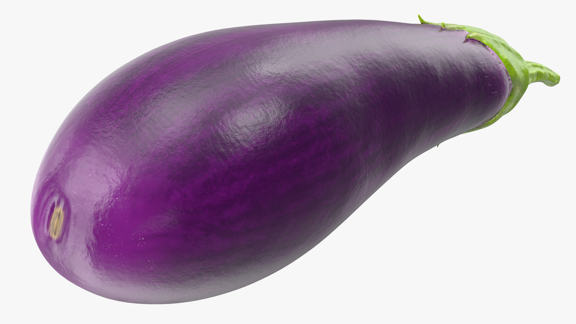 3D Solanum Melongena Eggplant