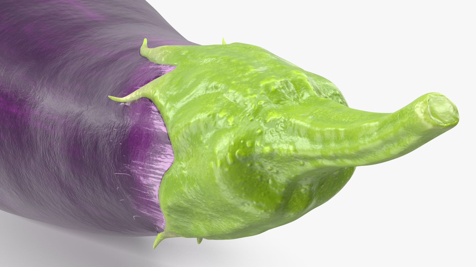 3D Solanum Melongena Eggplant