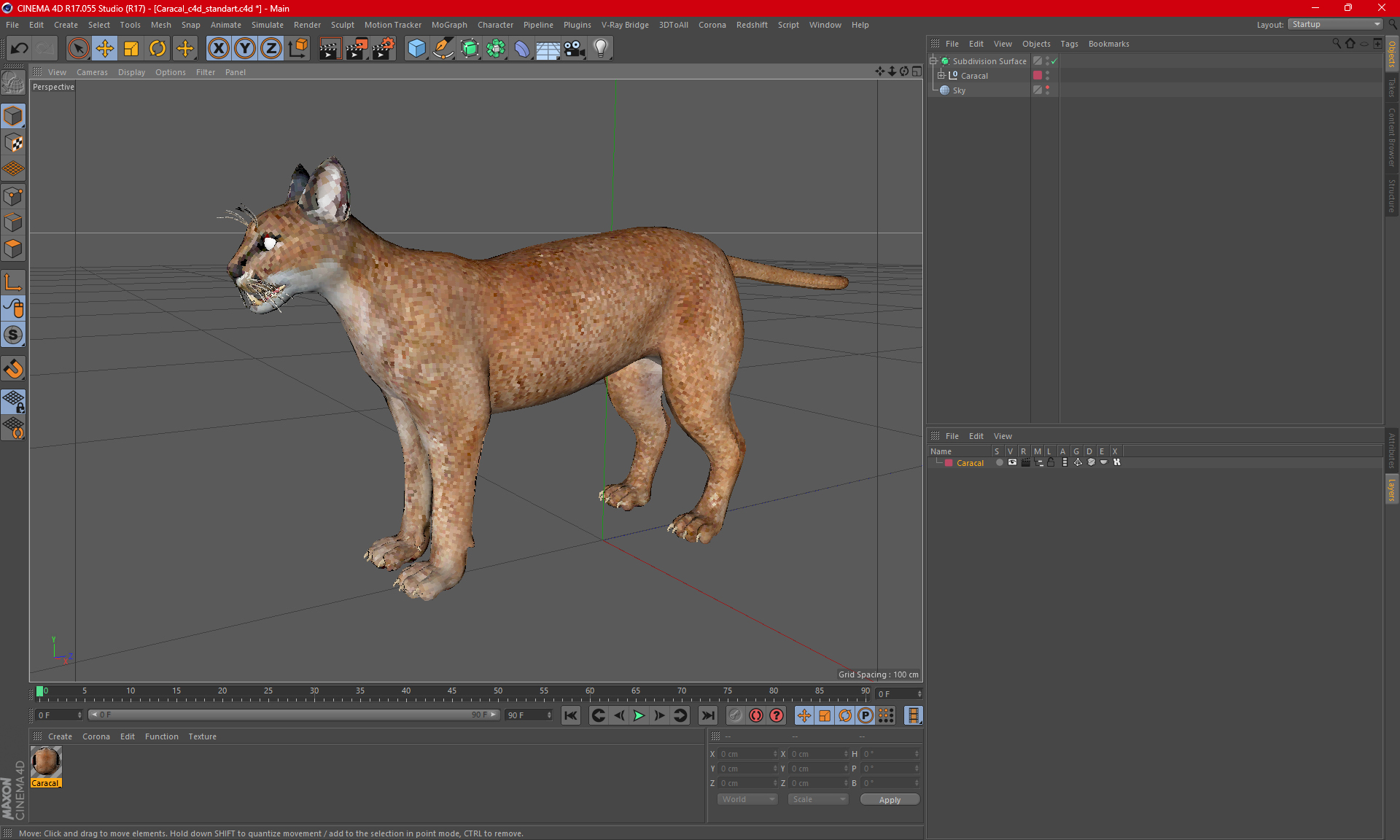 Caracal 3D model