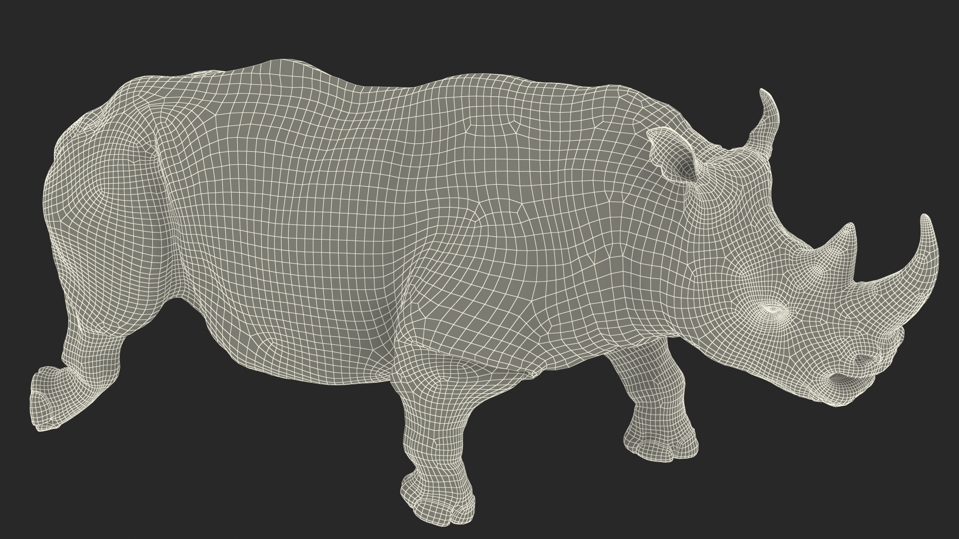 3D Rhino Walking Pose model