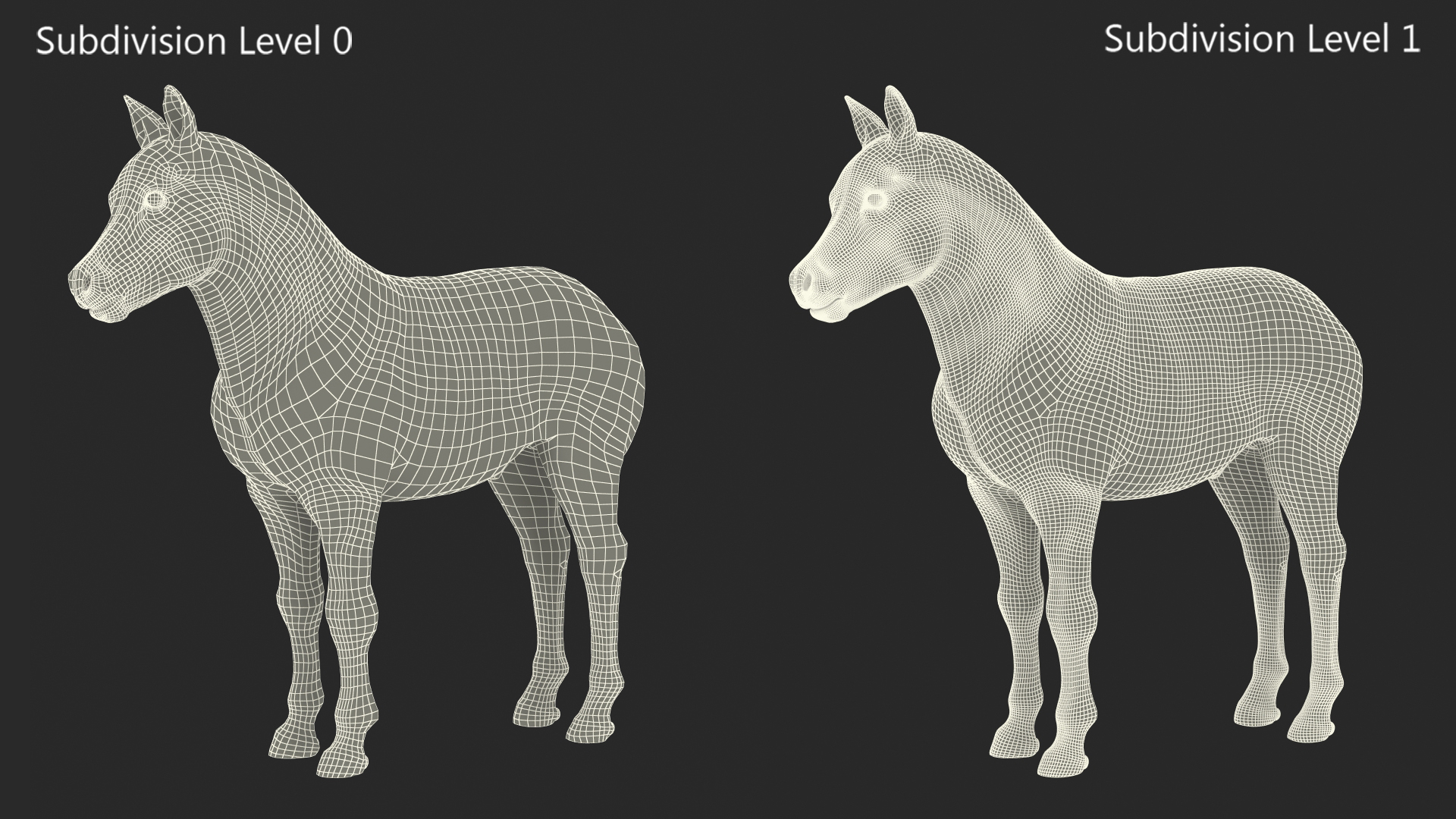 3D Realistic Shetland Pony model