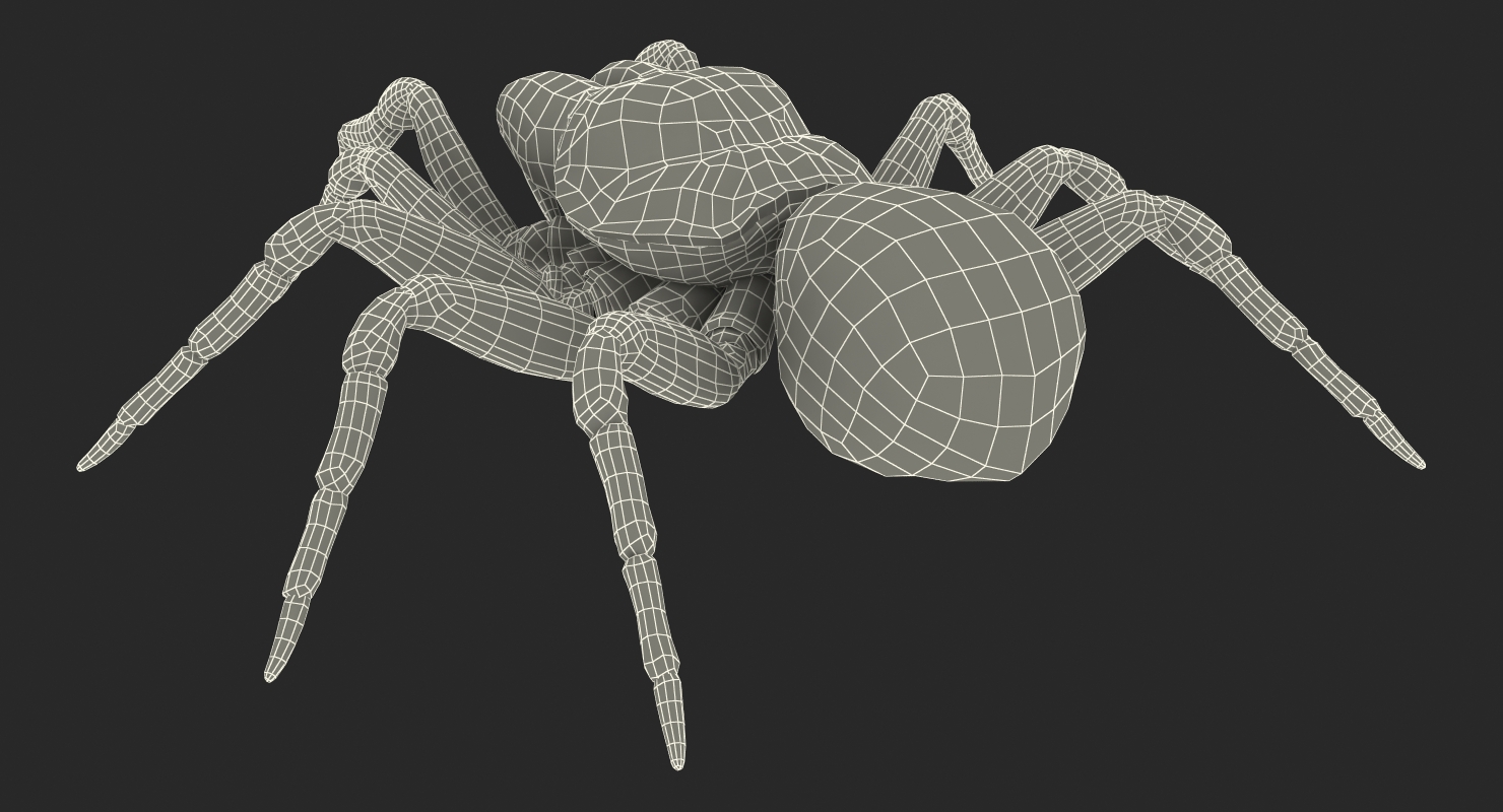 3D model Missulena Occatoria Spider with Fur