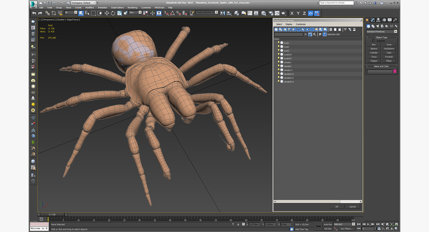 3D model Missulena Occatoria Spider with Fur