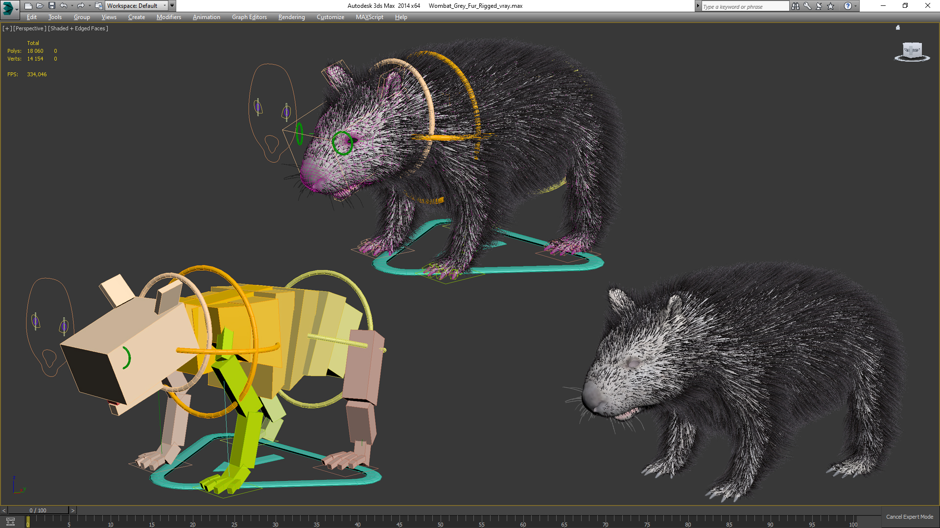 Wombat Grey Fur Rigged 3D