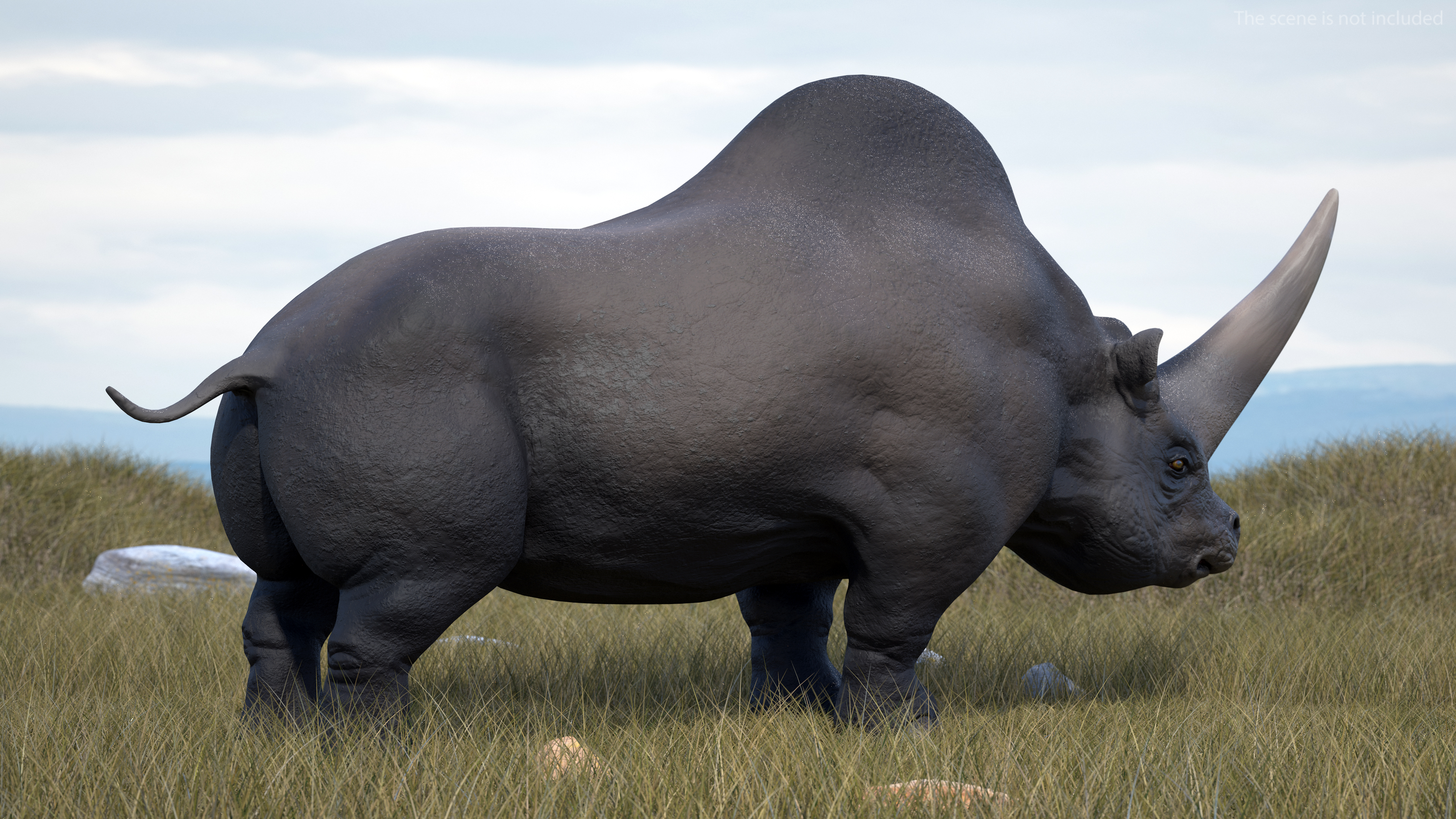 Elasmotherium Rigged for Modo 3D model