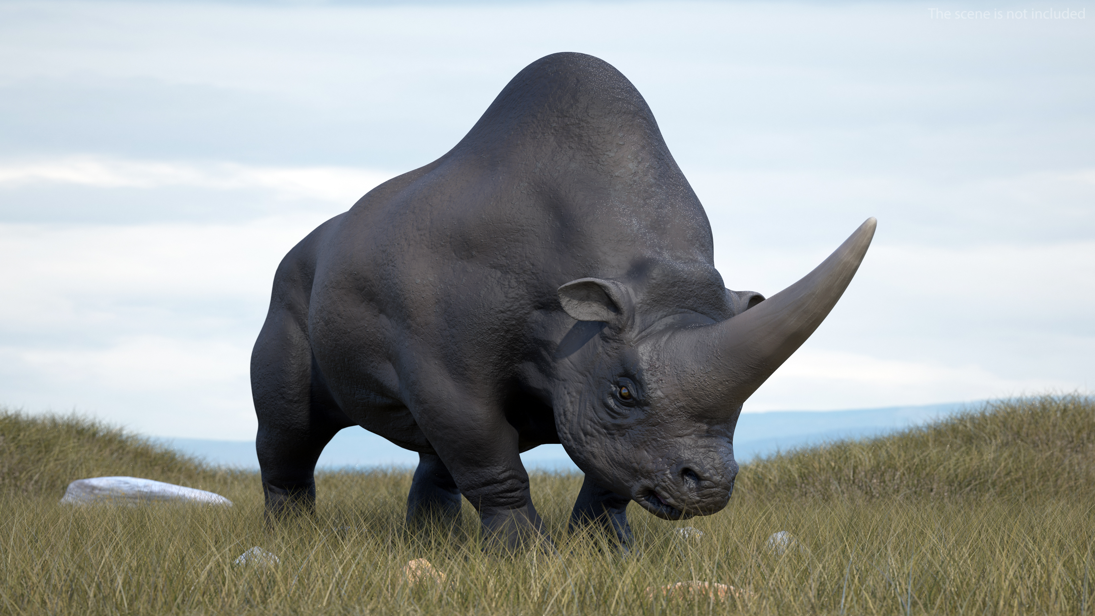 Elasmotherium Rigged for Modo 3D model