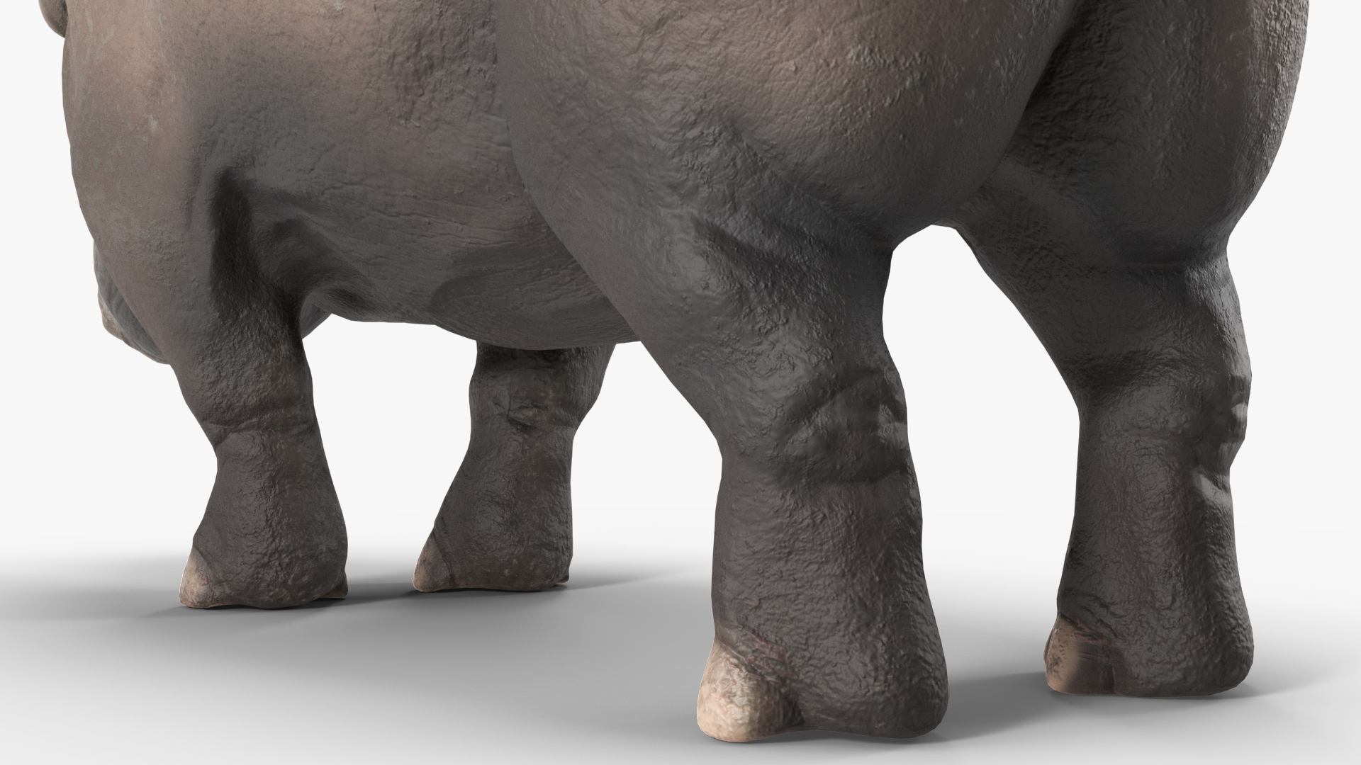 Elasmotherium Rigged for Modo 3D model