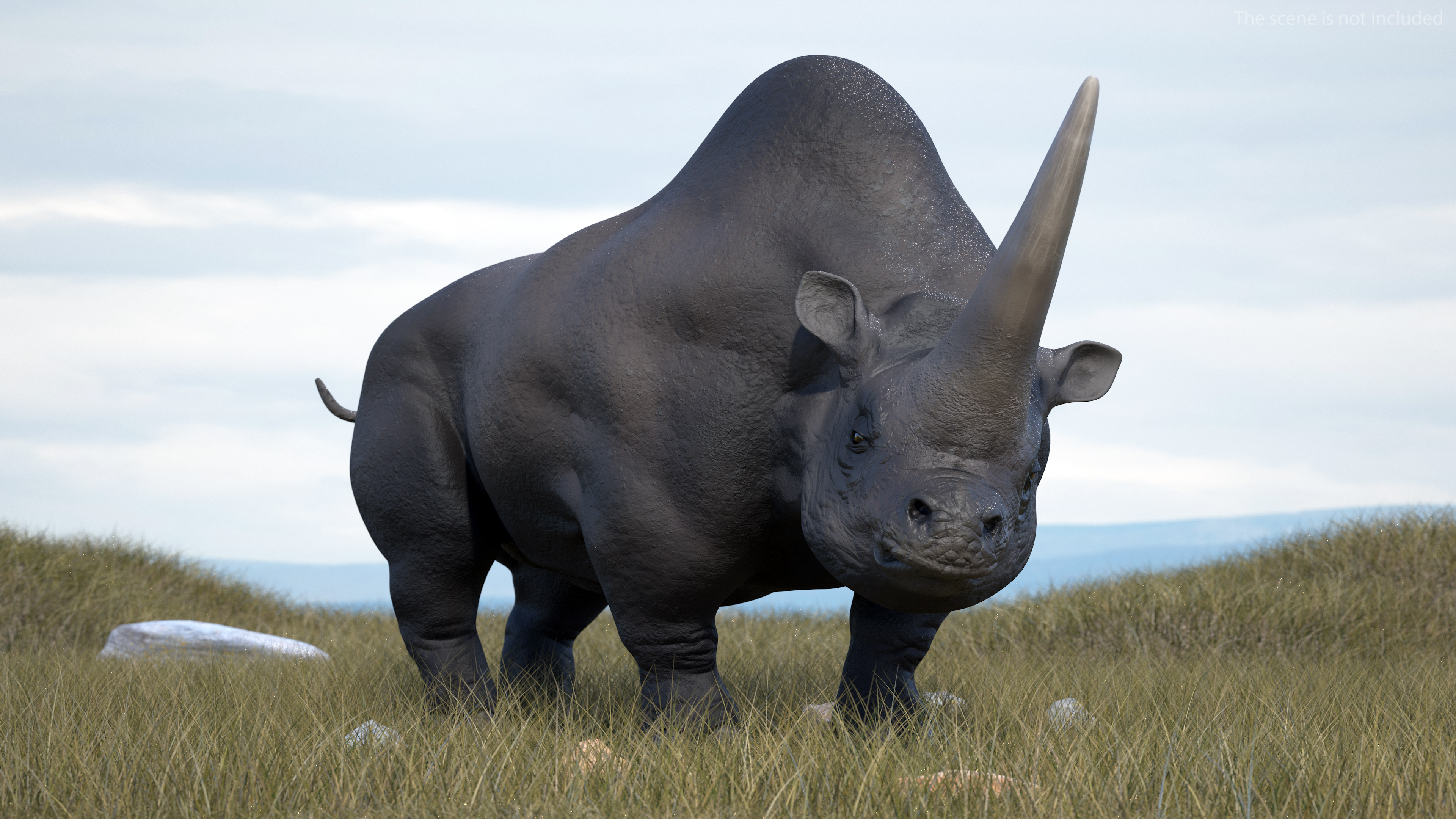 Elasmotherium Rigged for Modo 3D model