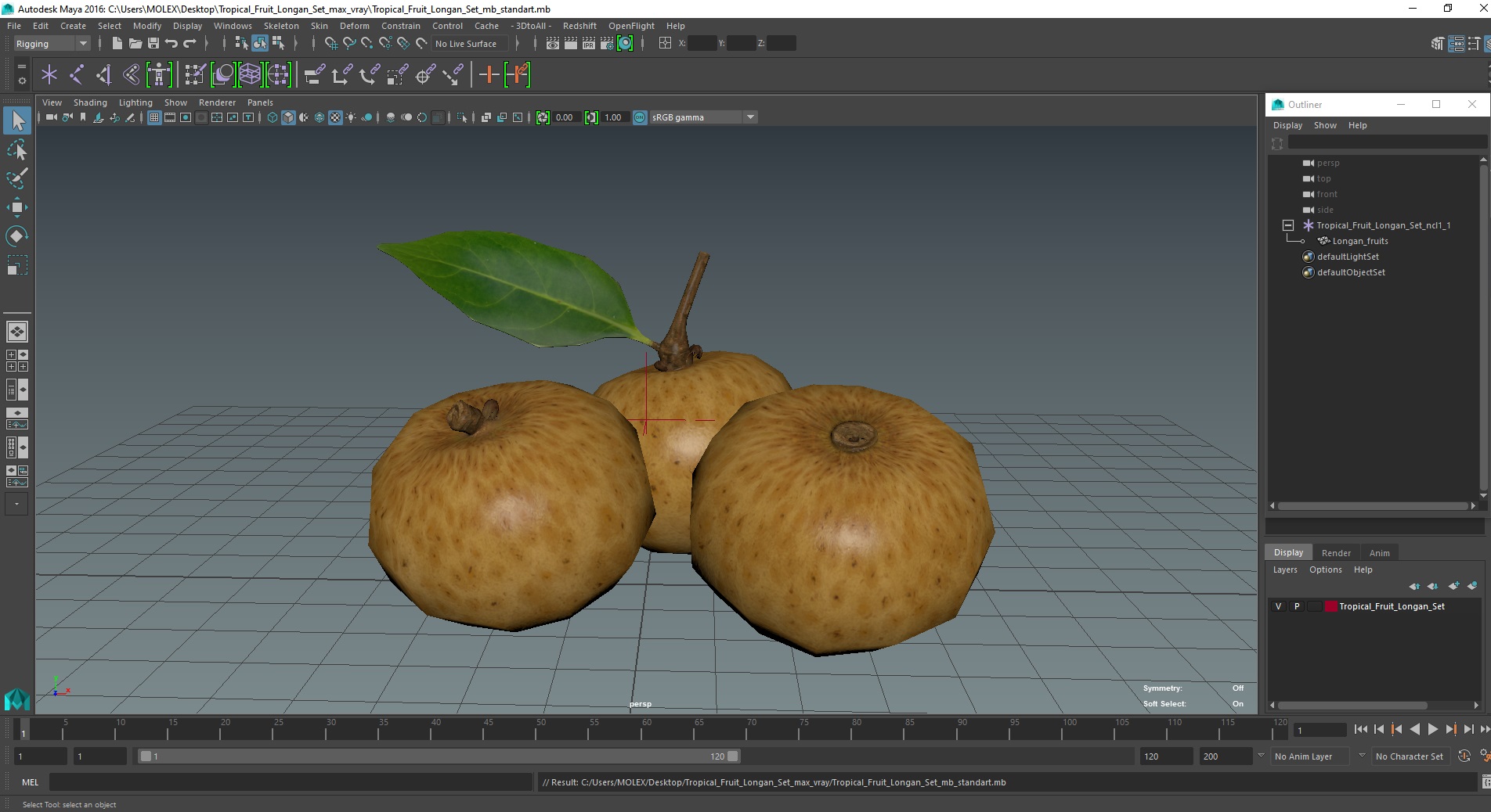 3D model Tropical Fruit Longan Set