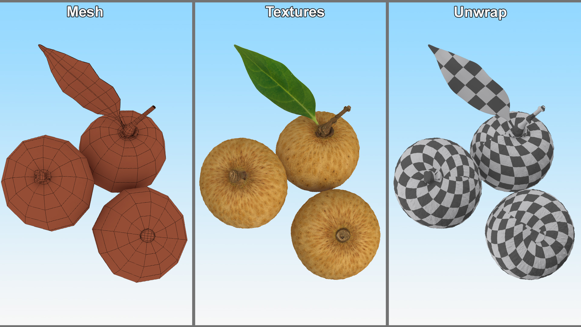 3D model Tropical Fruit Longan Set