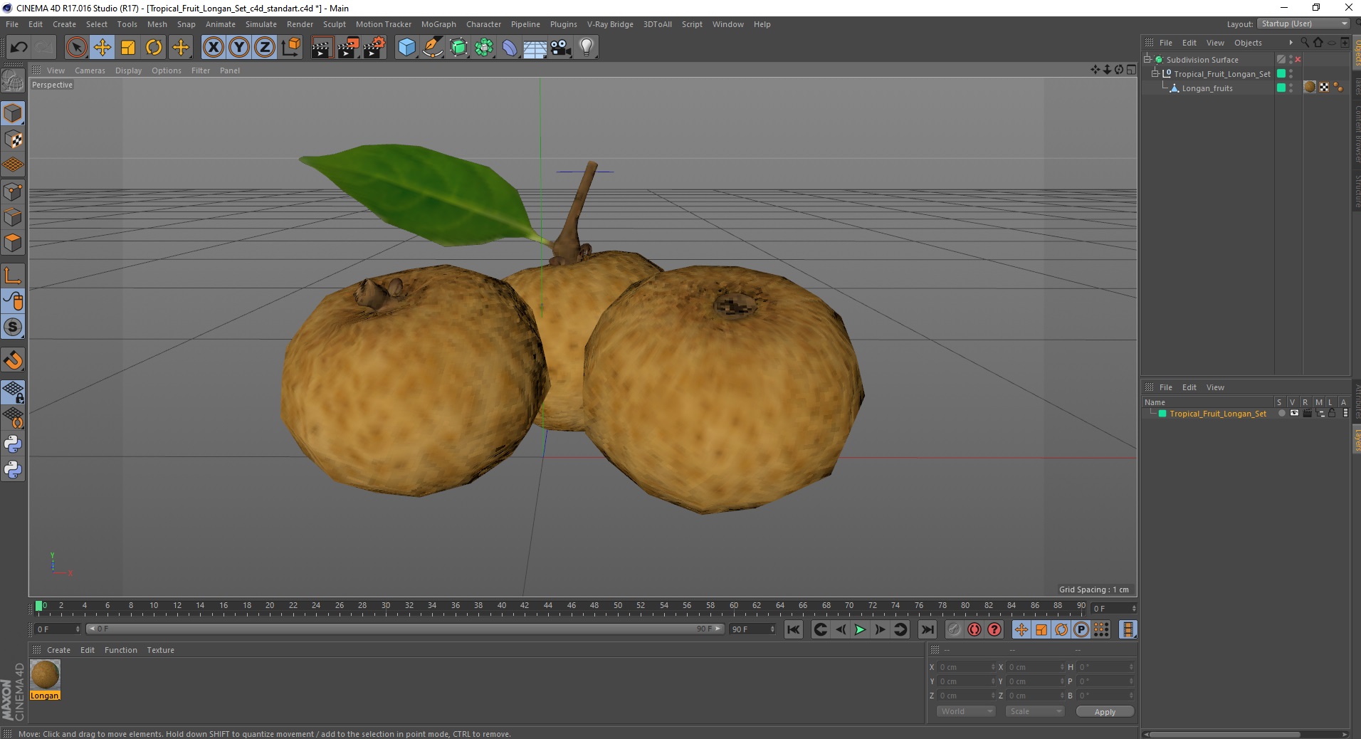 3D model Tropical Fruit Longan Set