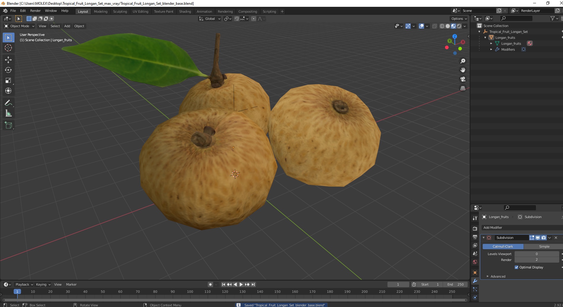 3D model Tropical Fruit Longan Set