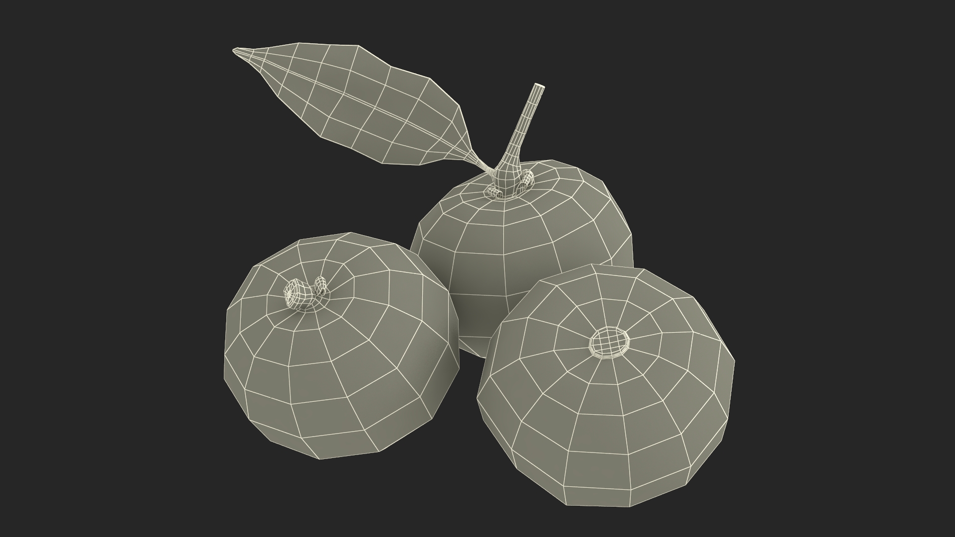 3D model Tropical Fruit Longan Set