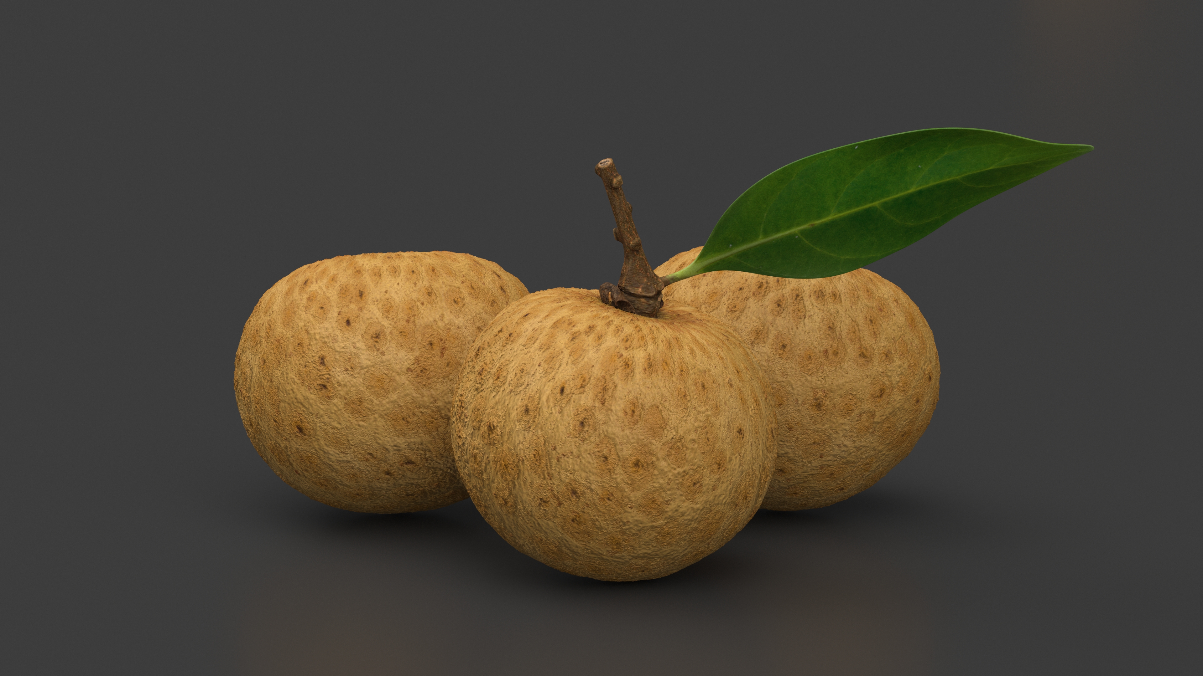 3D model Tropical Fruit Longan Set