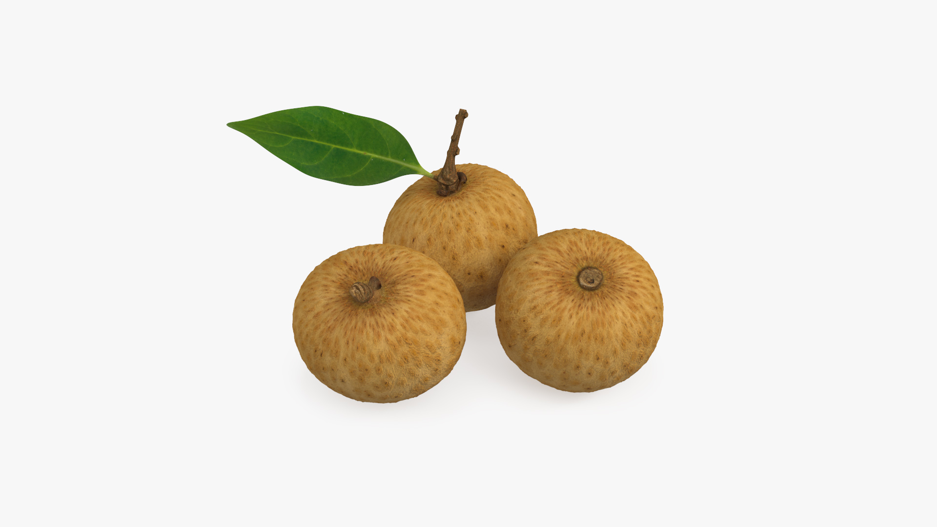 3D model Tropical Fruit Longan Set