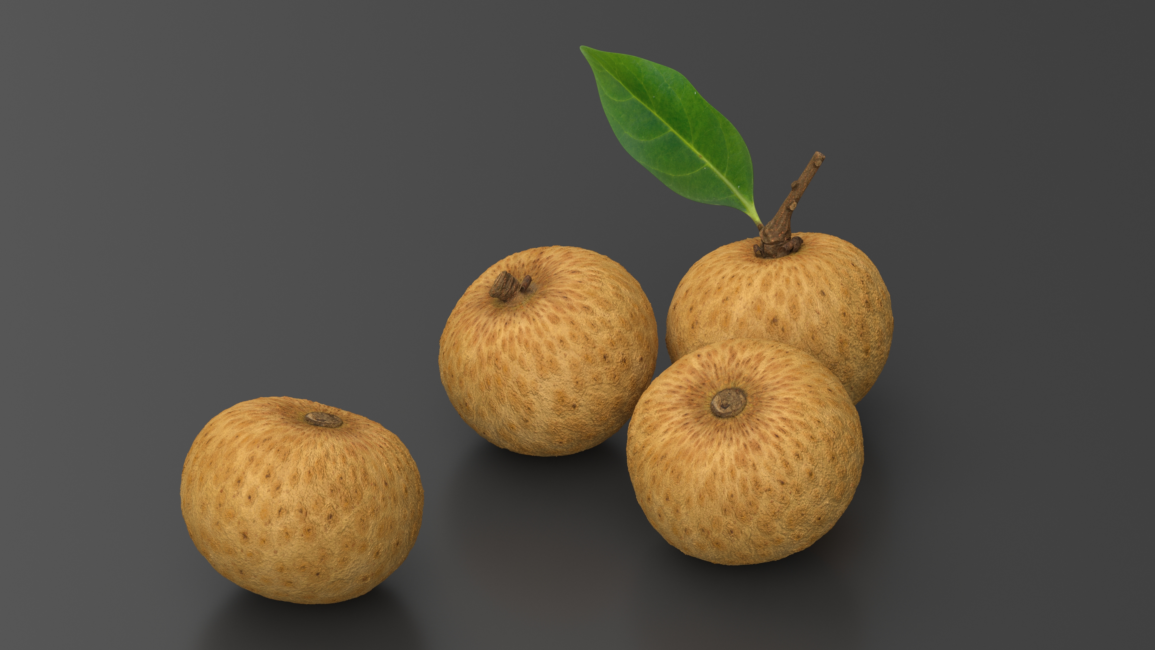 3D model Tropical Fruit Longan Set