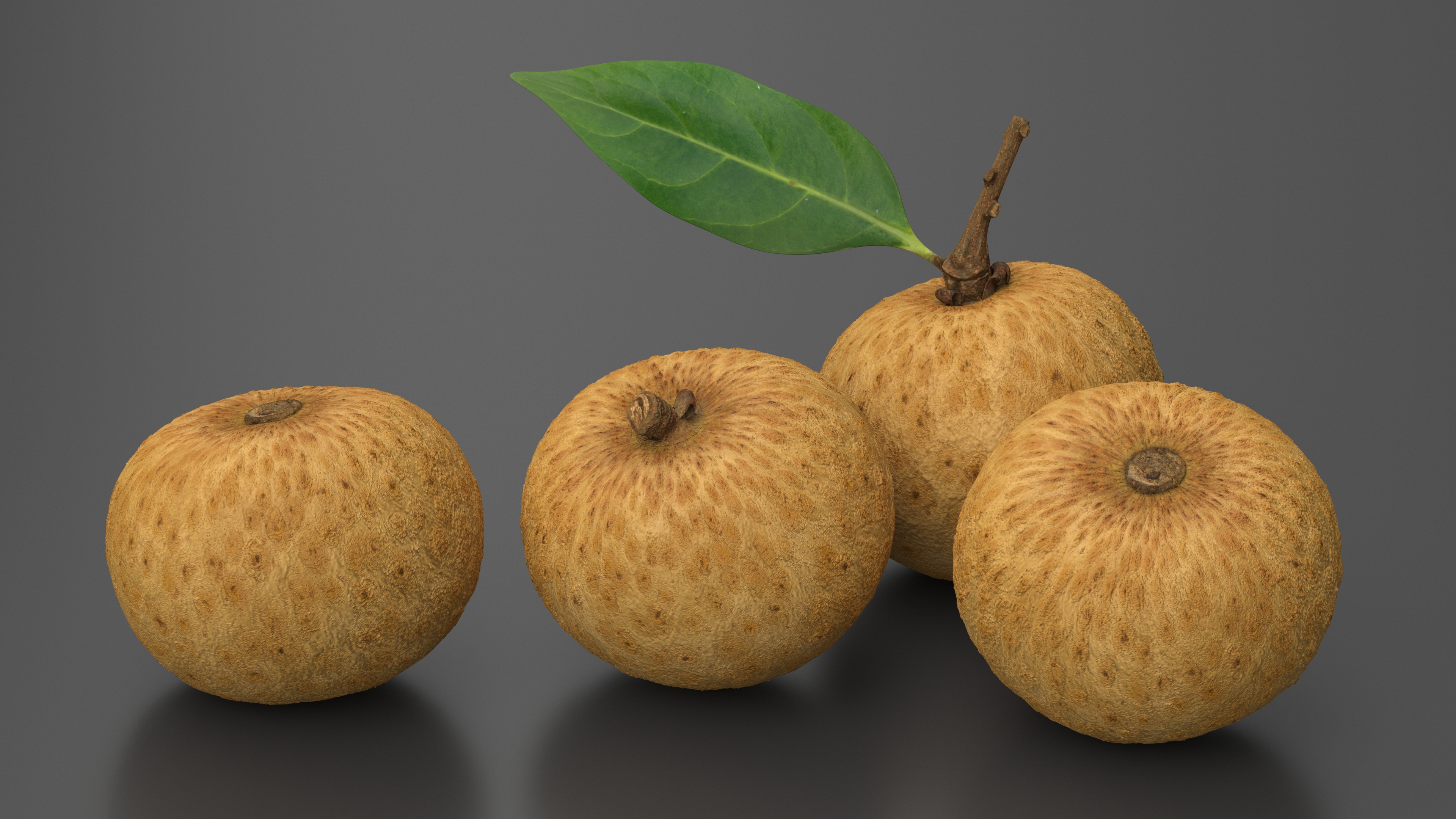 3D model Tropical Fruit Longan Set