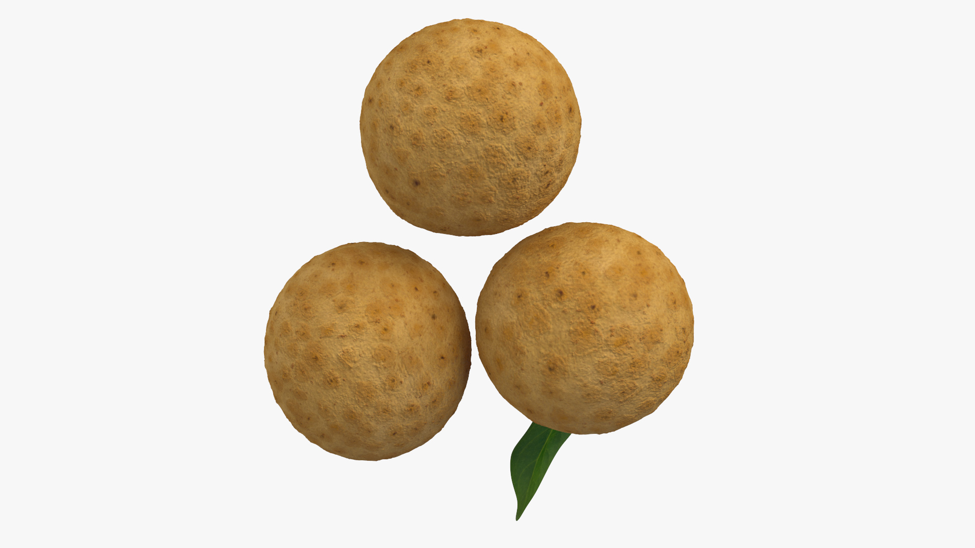 3D model Tropical Fruit Longan Set