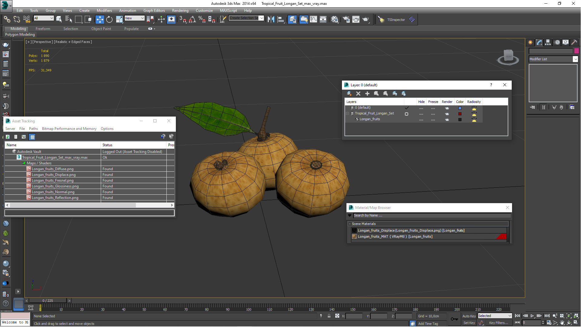 3D model Tropical Fruit Longan Set