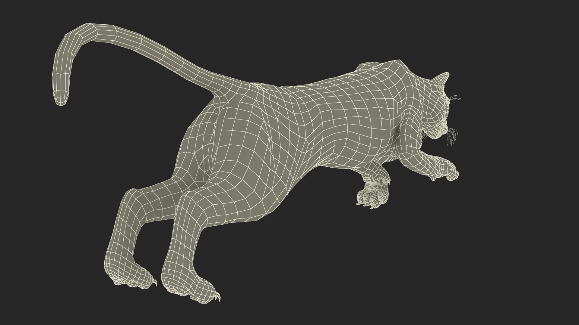 3D Jumping Puma Fur