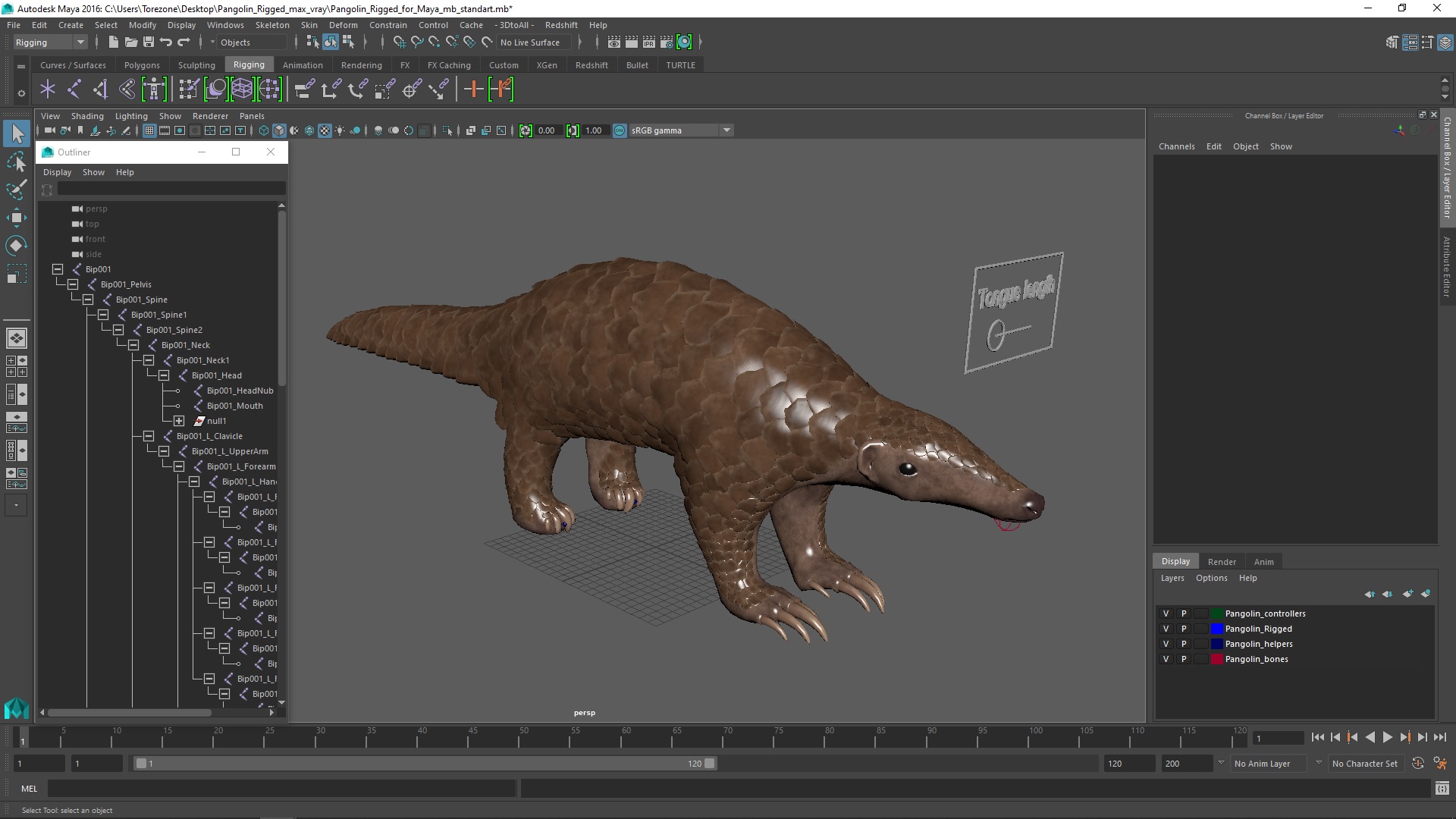 Pangolin Rigged for Maya 3D model