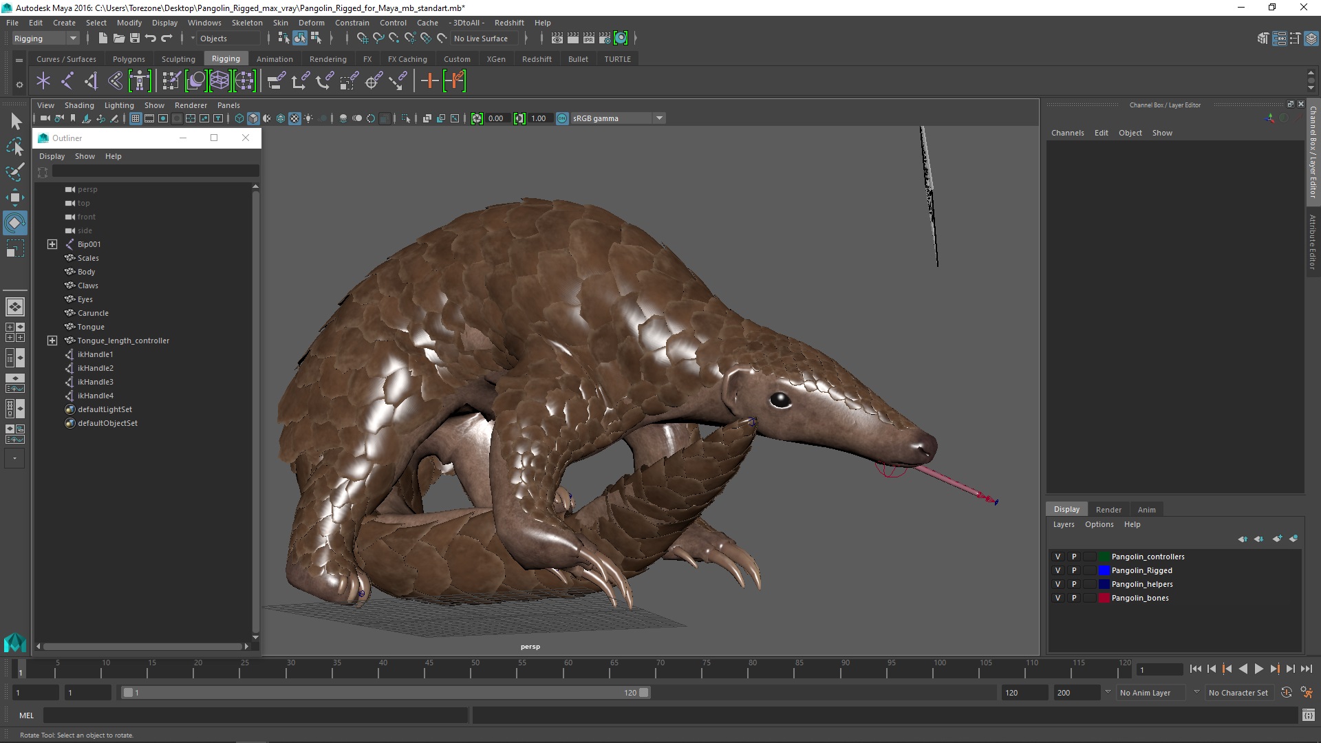 Pangolin Rigged for Maya 3D model