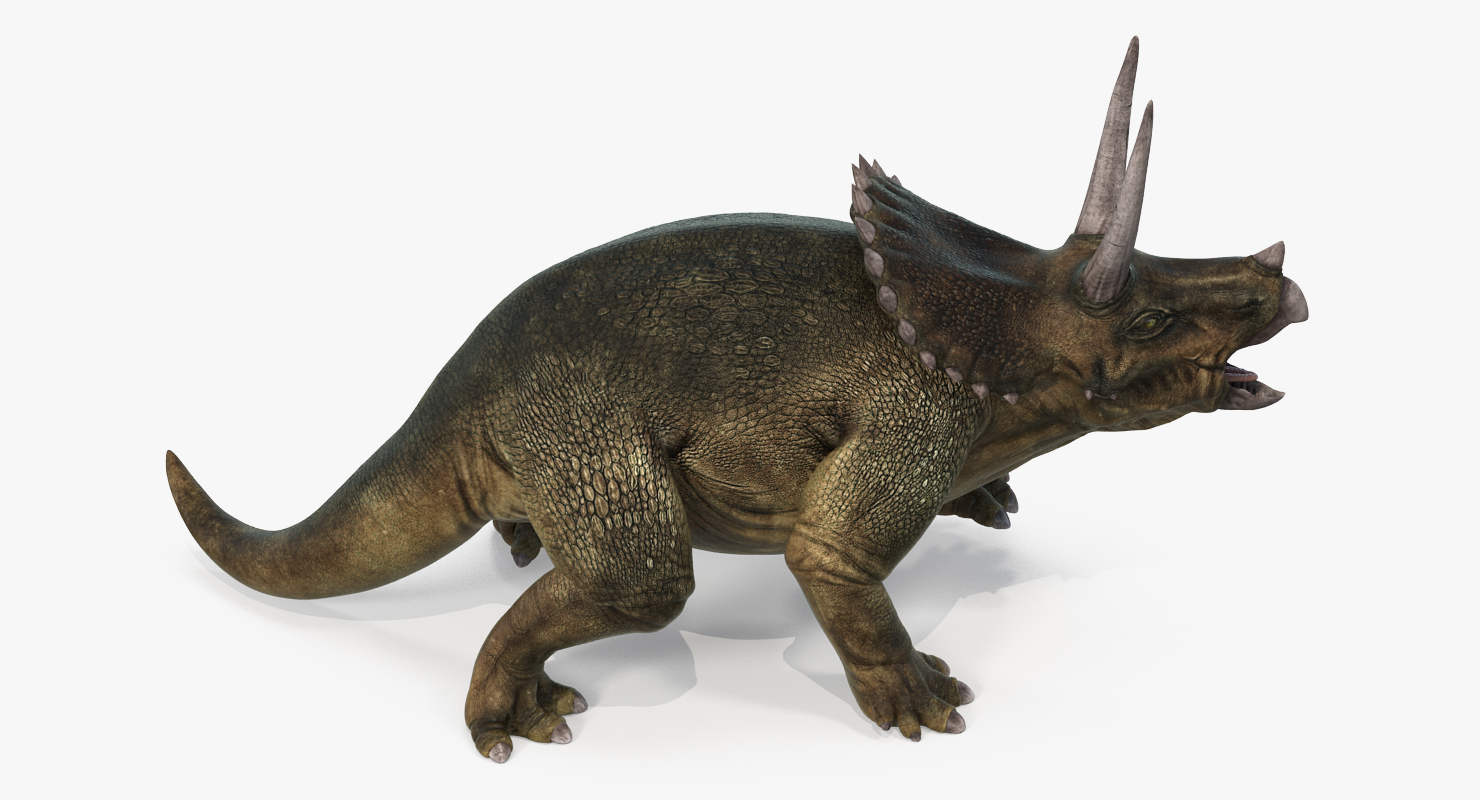 3D model Triceratops Fighting Pose