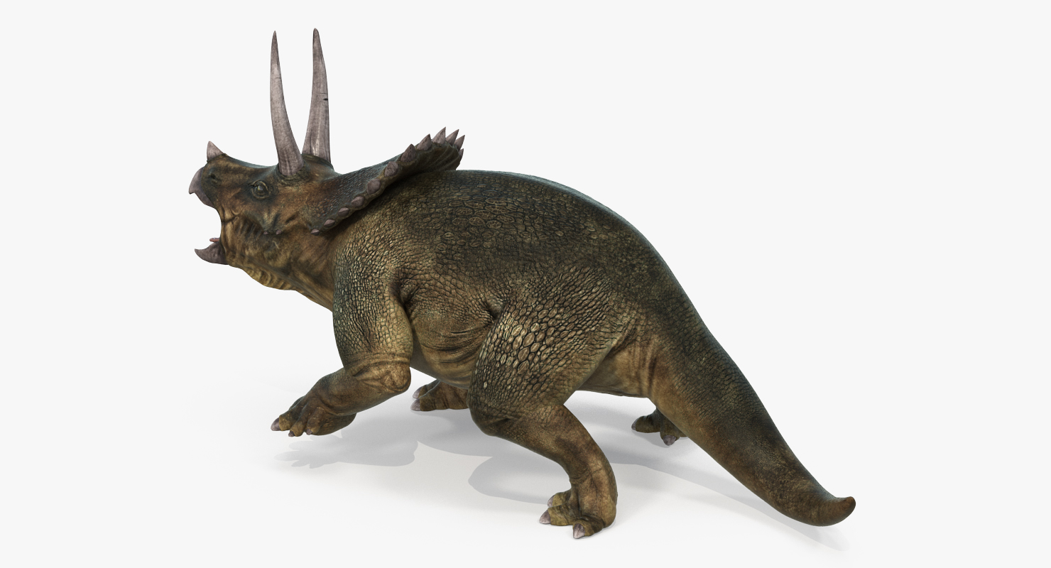 3D model Triceratops Fighting Pose