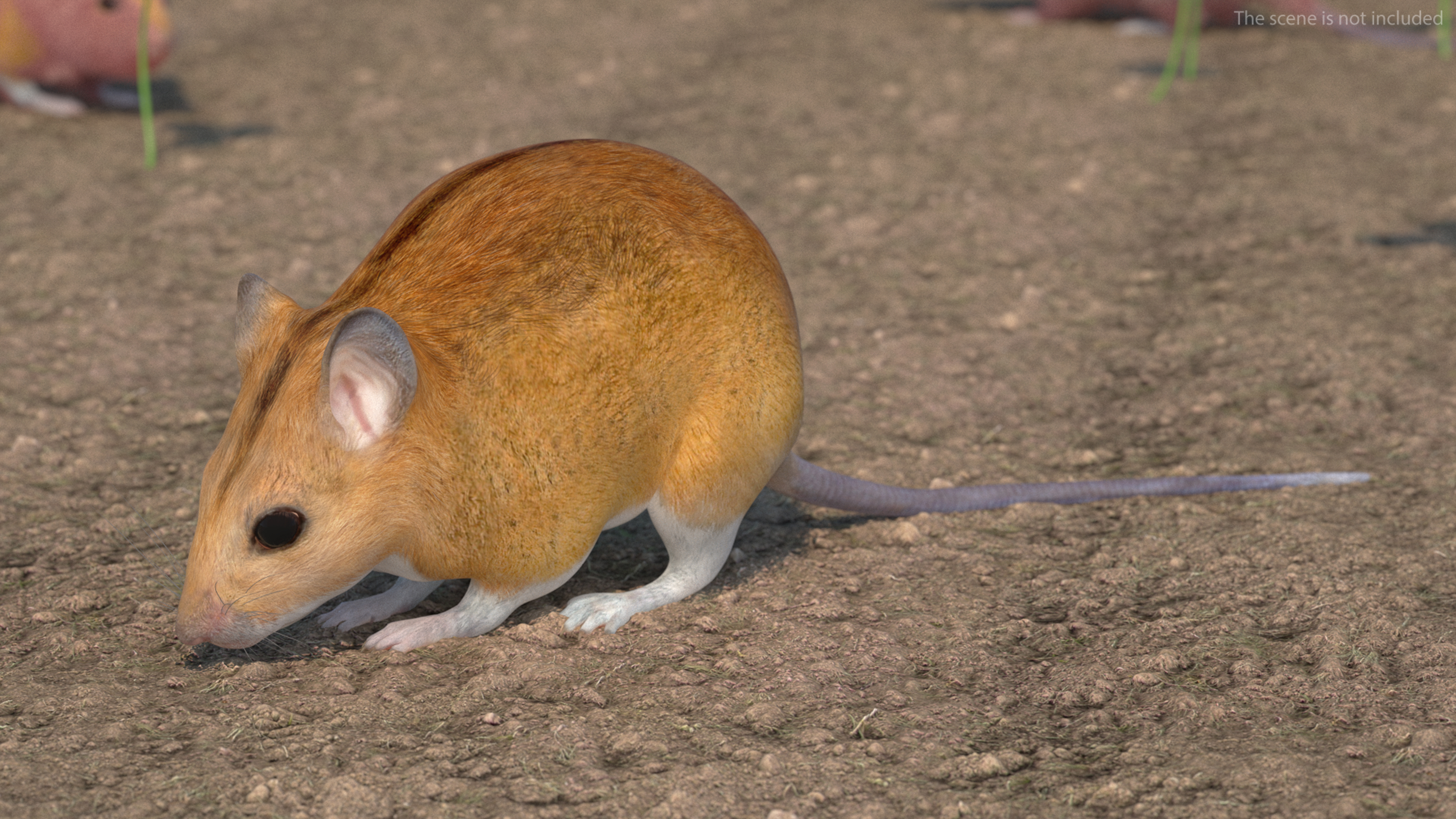 3D model False Mouse Sniffing Pose