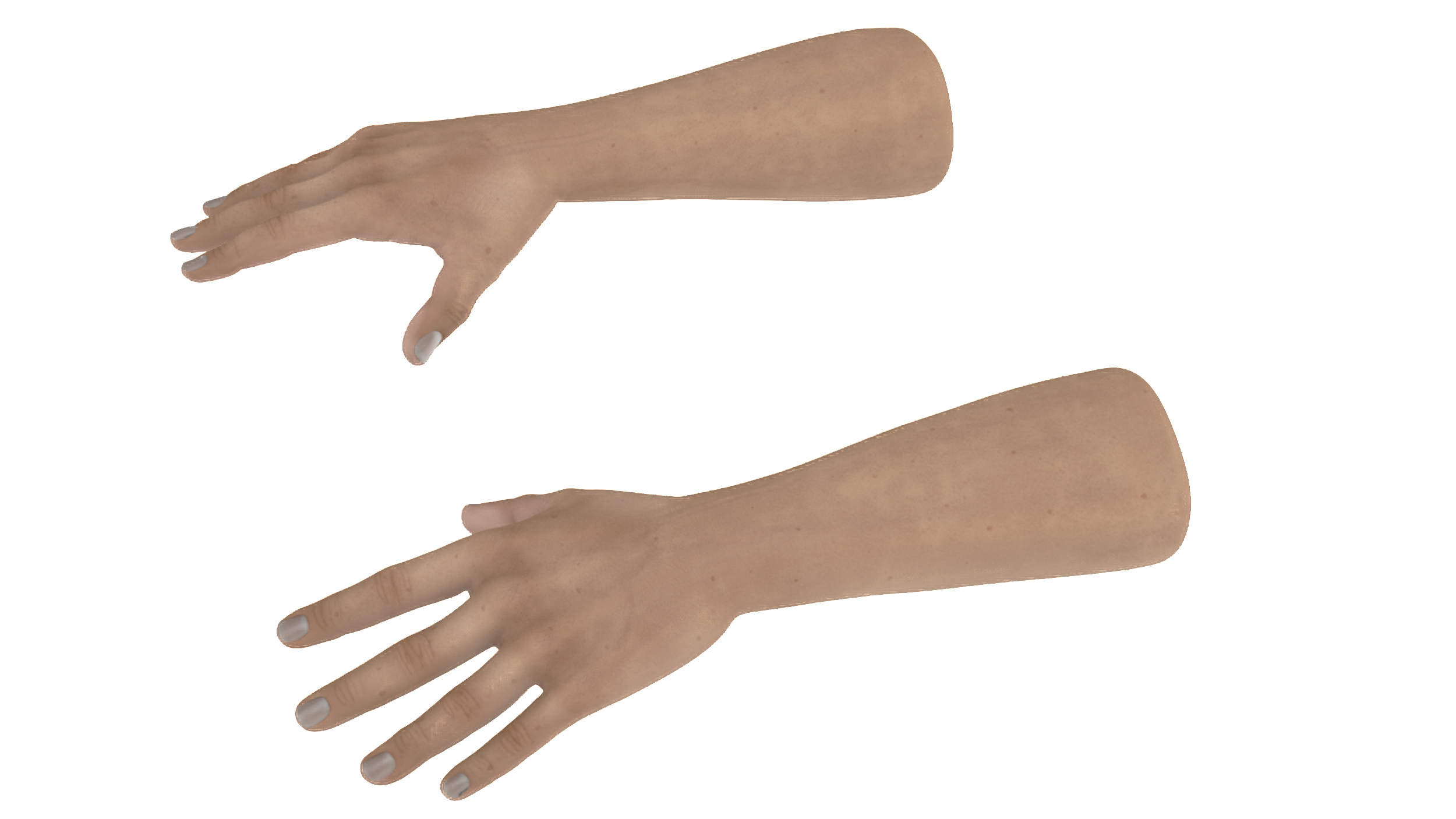 3D Man Hands Rigged